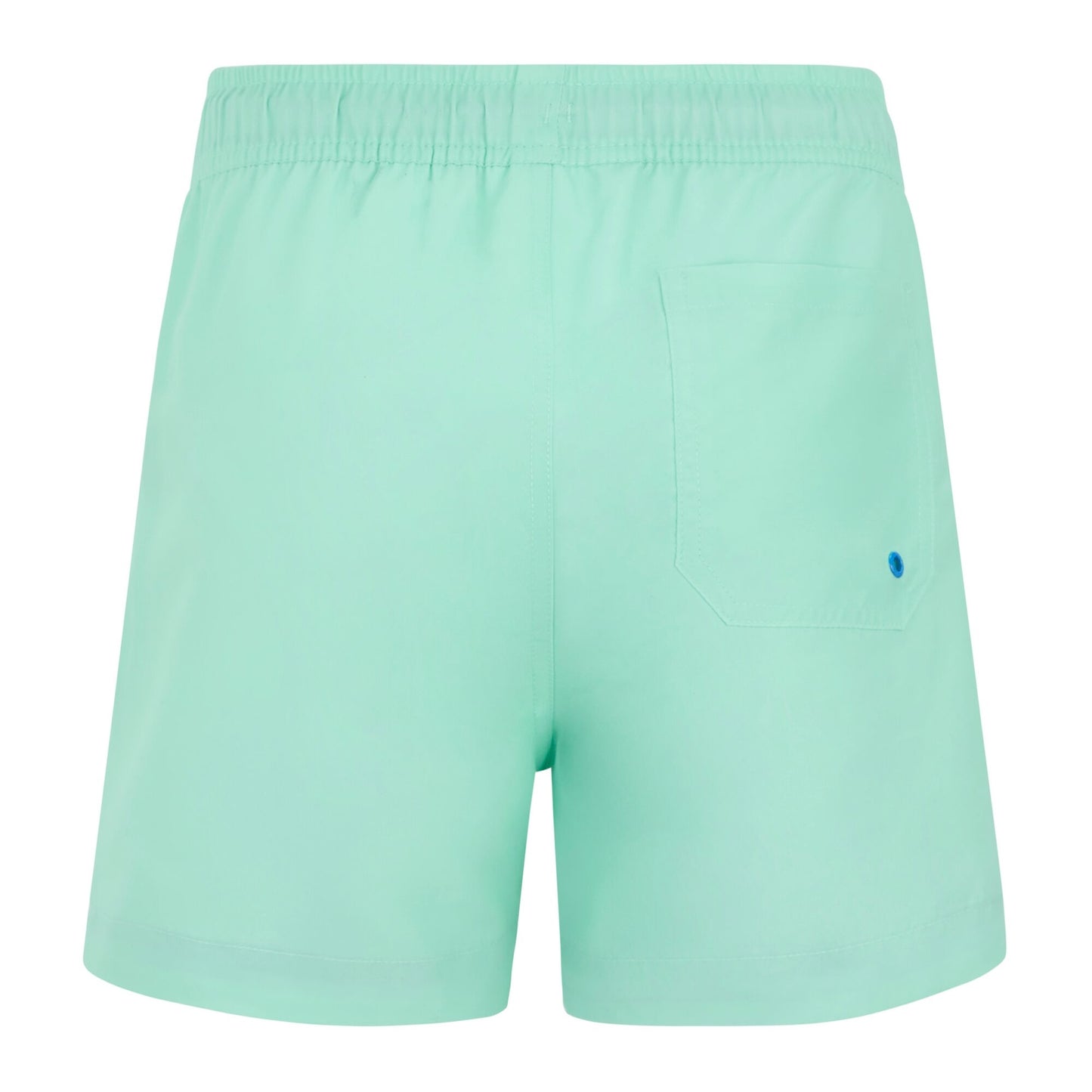Ice Green-Sonic Blue - Back - Regatta Childrens-Kids Skander Swim Shorts