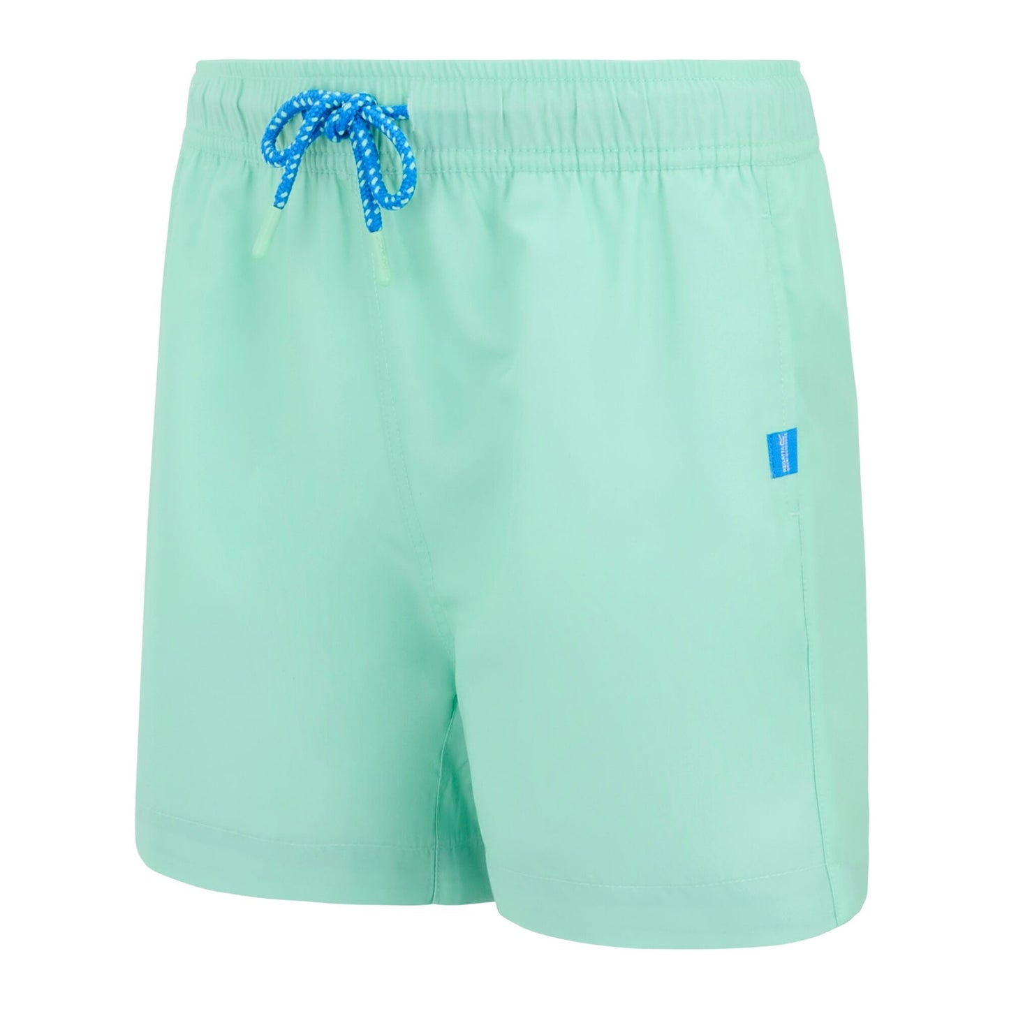 Ice Green-Sonic Blue - Side - Regatta Childrens-Kids Skander Swim Shorts