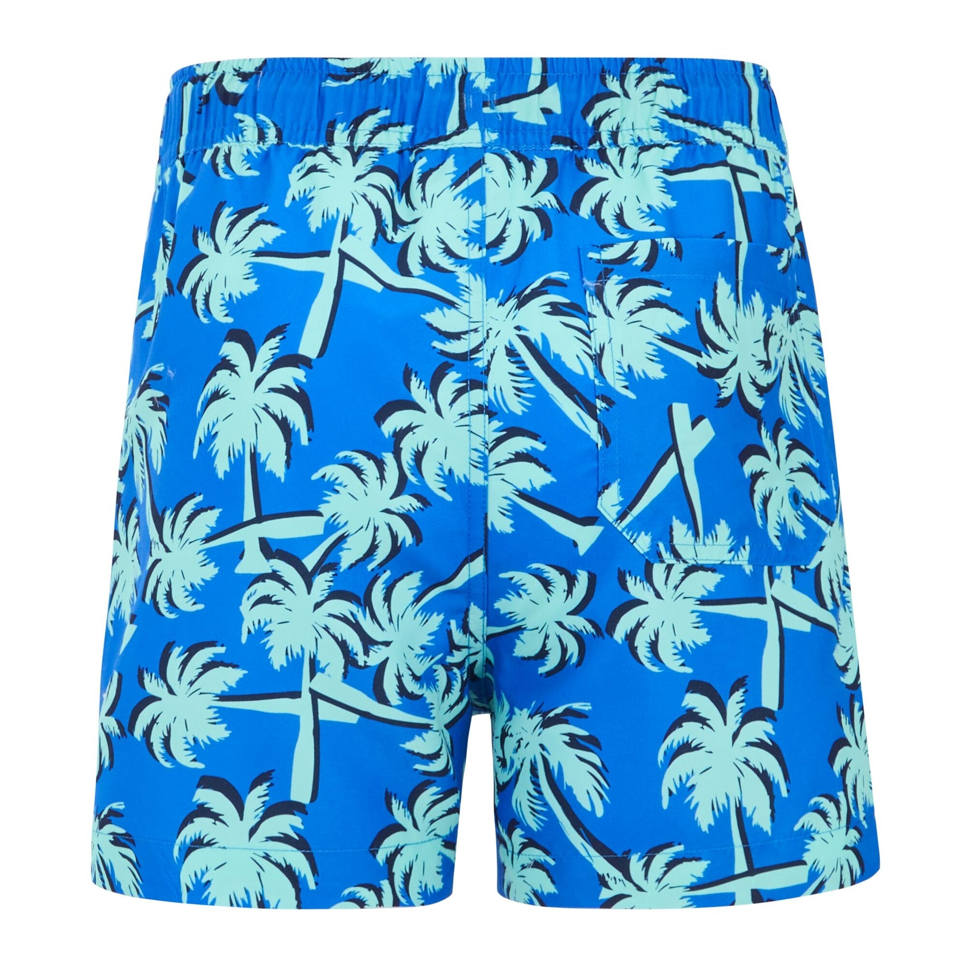 Sonic Blue-Ice Green - Back - Regatta Childrens-Kids Skander Palm Tree Swim Shorts