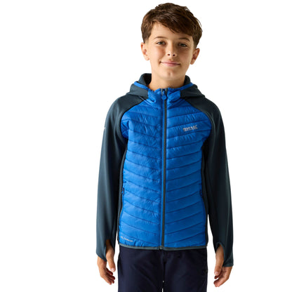 Night Sky-Olympian Blue - Lifestyle - Regatta Childrens-Kids Andreson Hybrid Padded Jacket