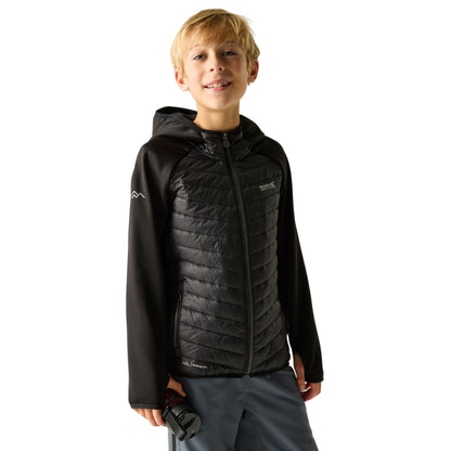 Black-Seal Grey - Lifestyle - Regatta Childrens-Kids Andreson Hybrid Padded Jacket