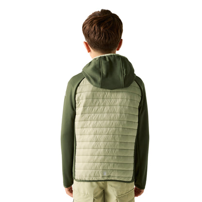 Dark Khaki-Light Sage - Pack Shot - Regatta Childrens-Kids Andreson Hybrid Padded Jacket