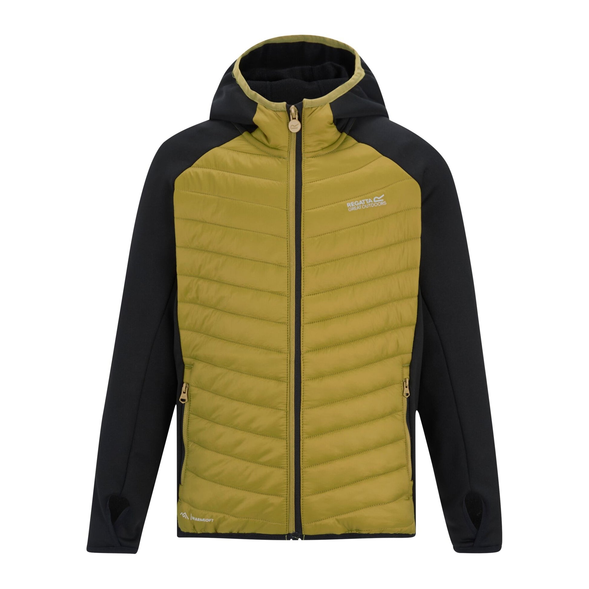 Black-Wood Brown - Front - Regatta Childrens-Kids Andreson Hybrid Padded Jacket