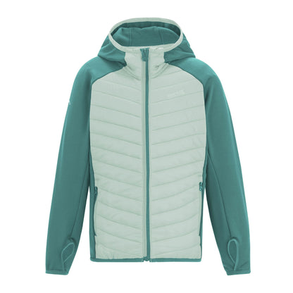 Ivy Moss-Ocean Mist - Front - Regatta Childrens-Kids Andreson Hybrid Padded Jacket