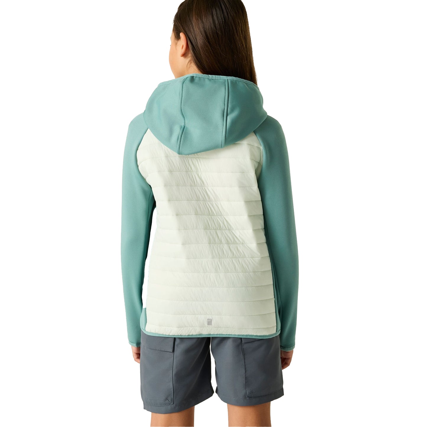 Ivy Moss-Ocean Mist - Pack Shot - Regatta Childrens-Kids Andreson Hybrid Padded Jacket