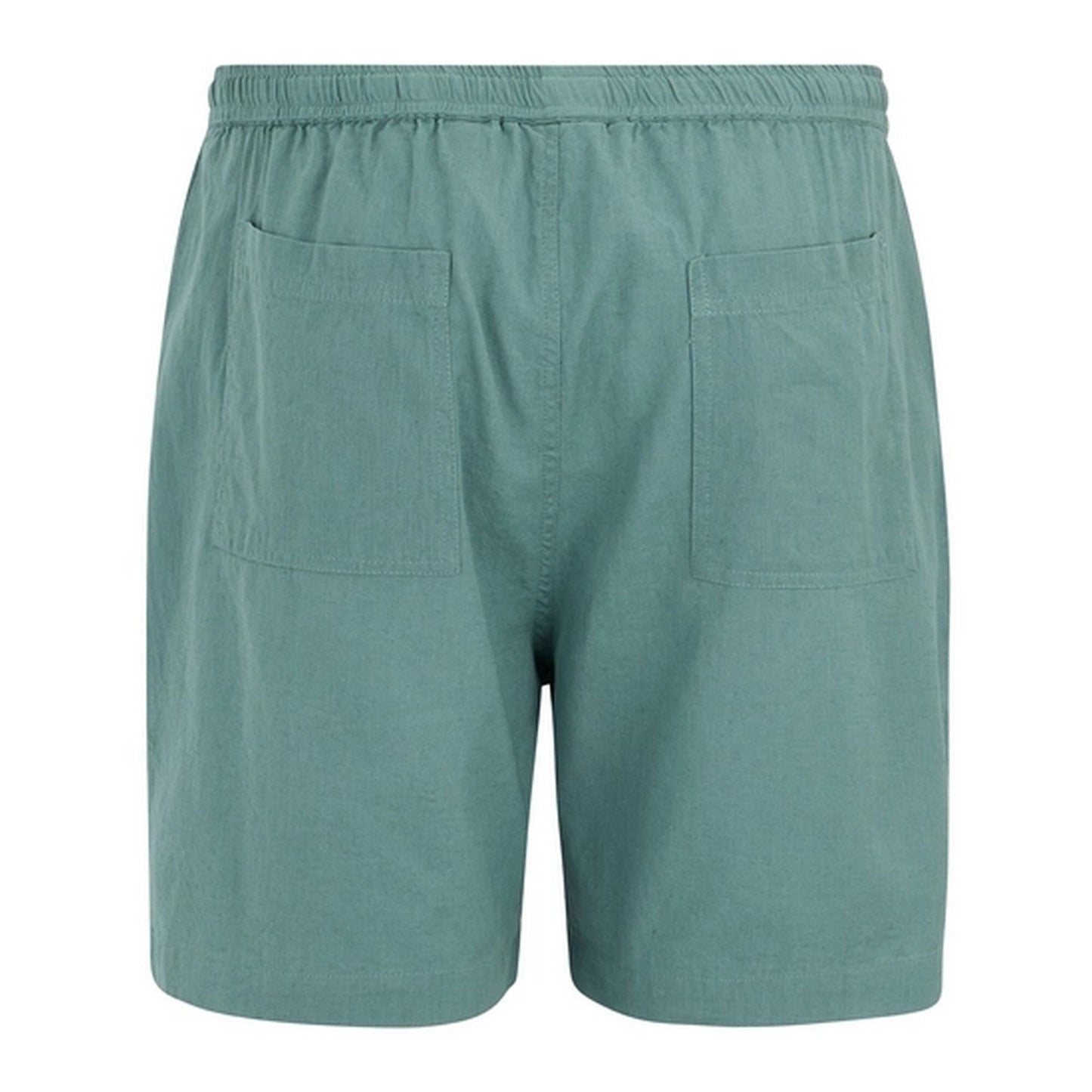 Arctic - Back - Regatta Mens Hadlin Shorts