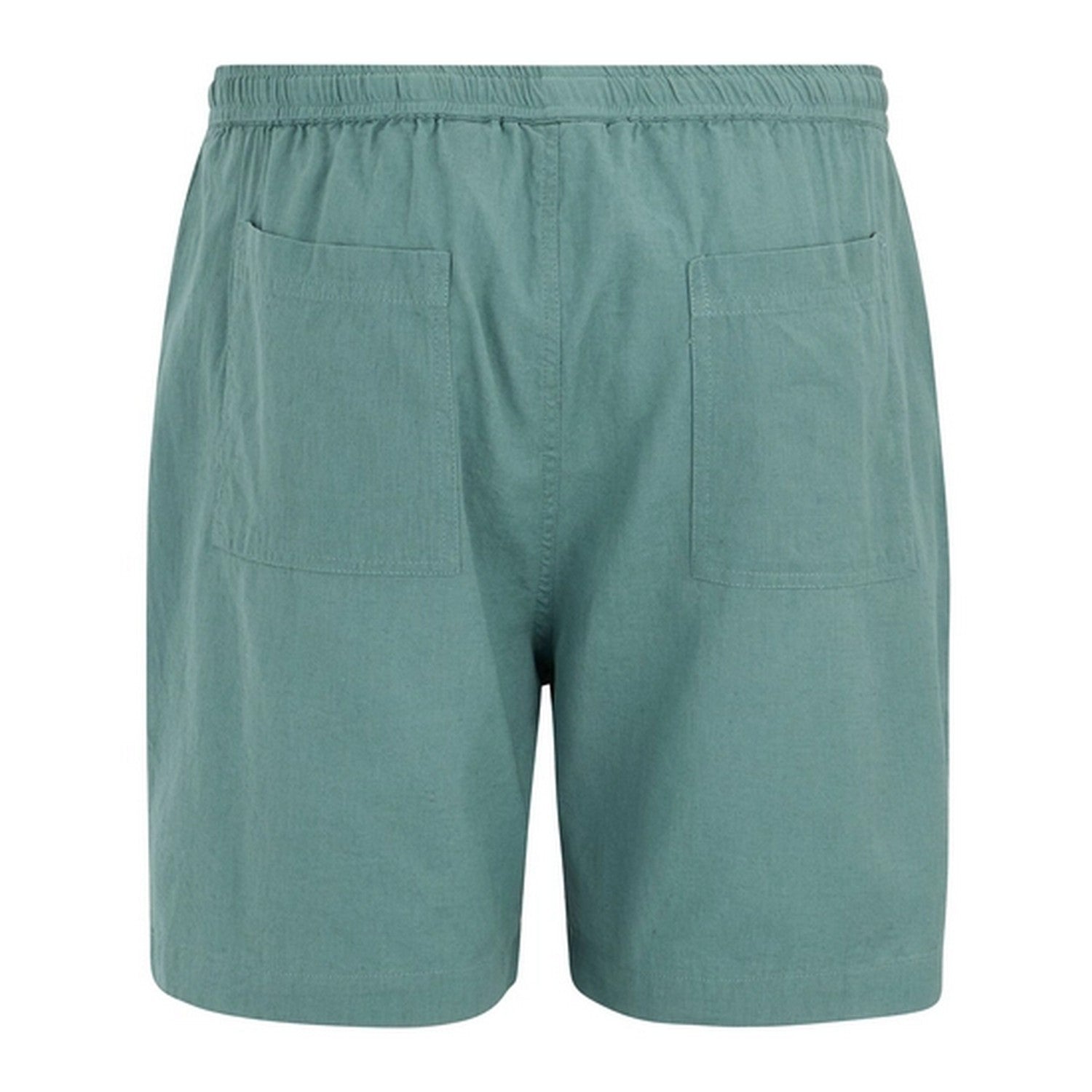 Arctic - Back - Regatta Mens Hadlin Shorts
