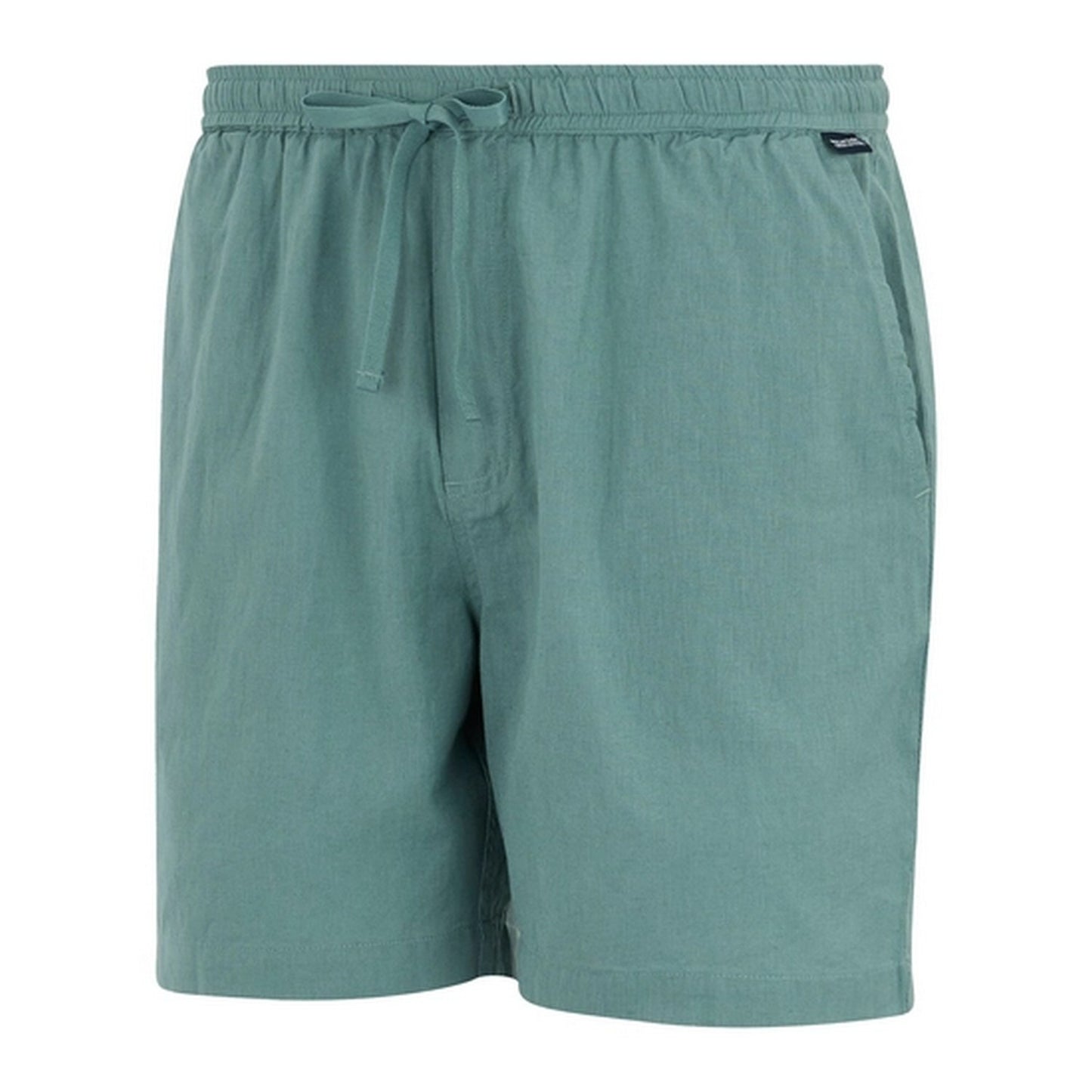 Arctic - Side - Regatta Mens Hadlin Shorts