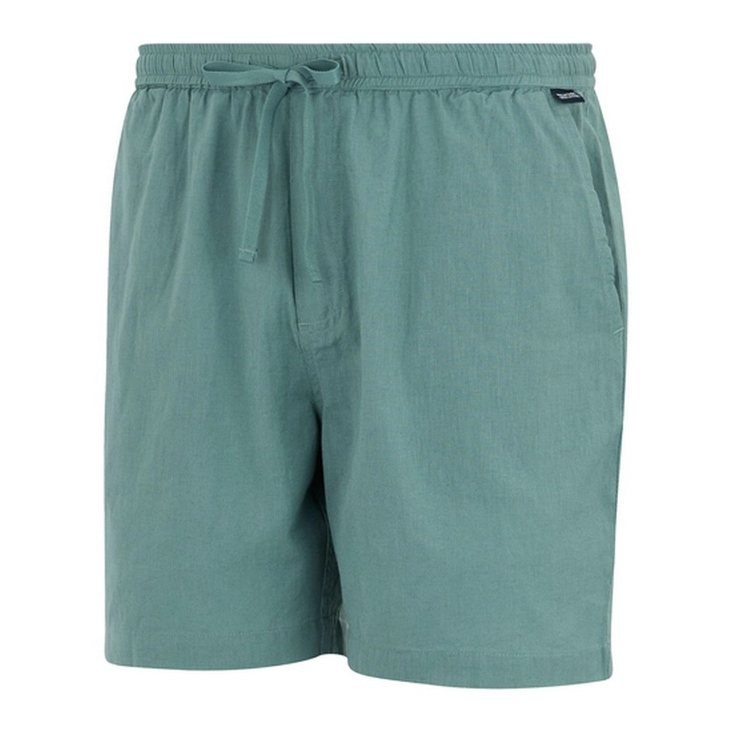Arctic - Side - Regatta Mens Hadlin Shorts