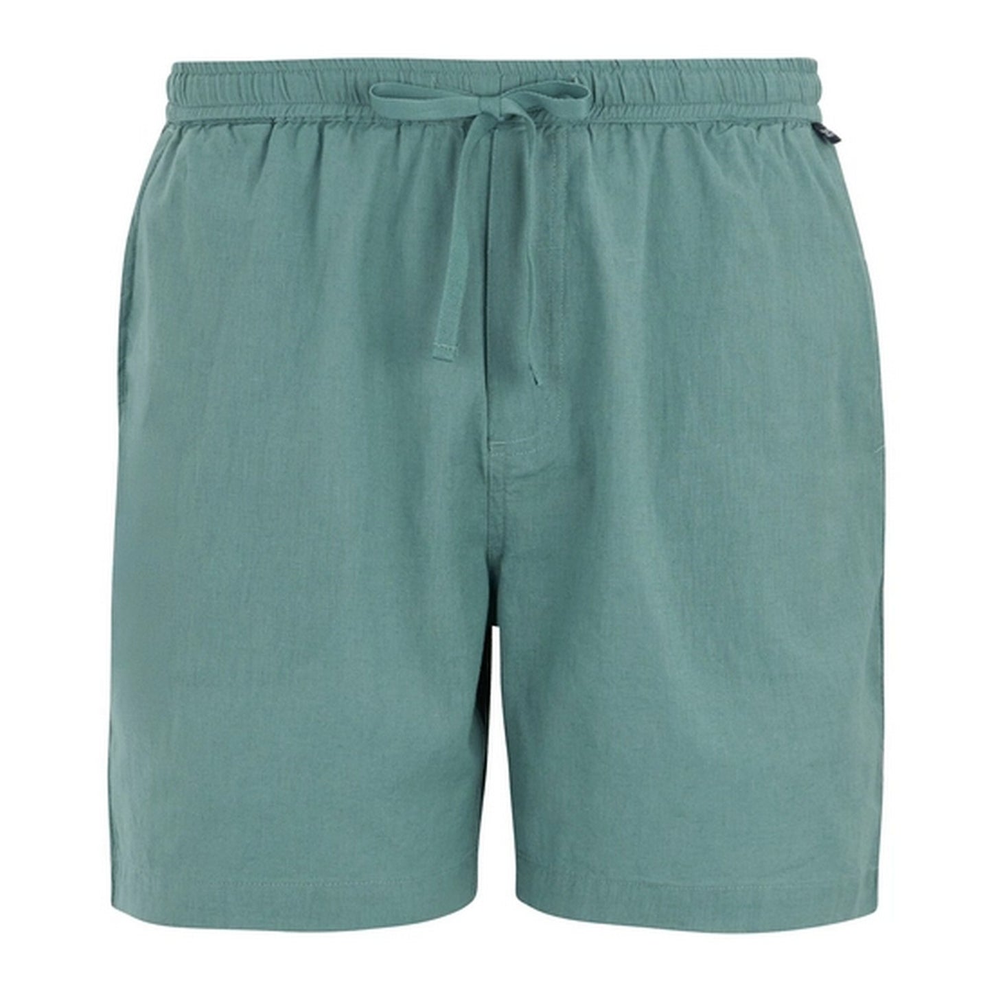 Arctic - Front - Regatta Mens Hadlin Shorts