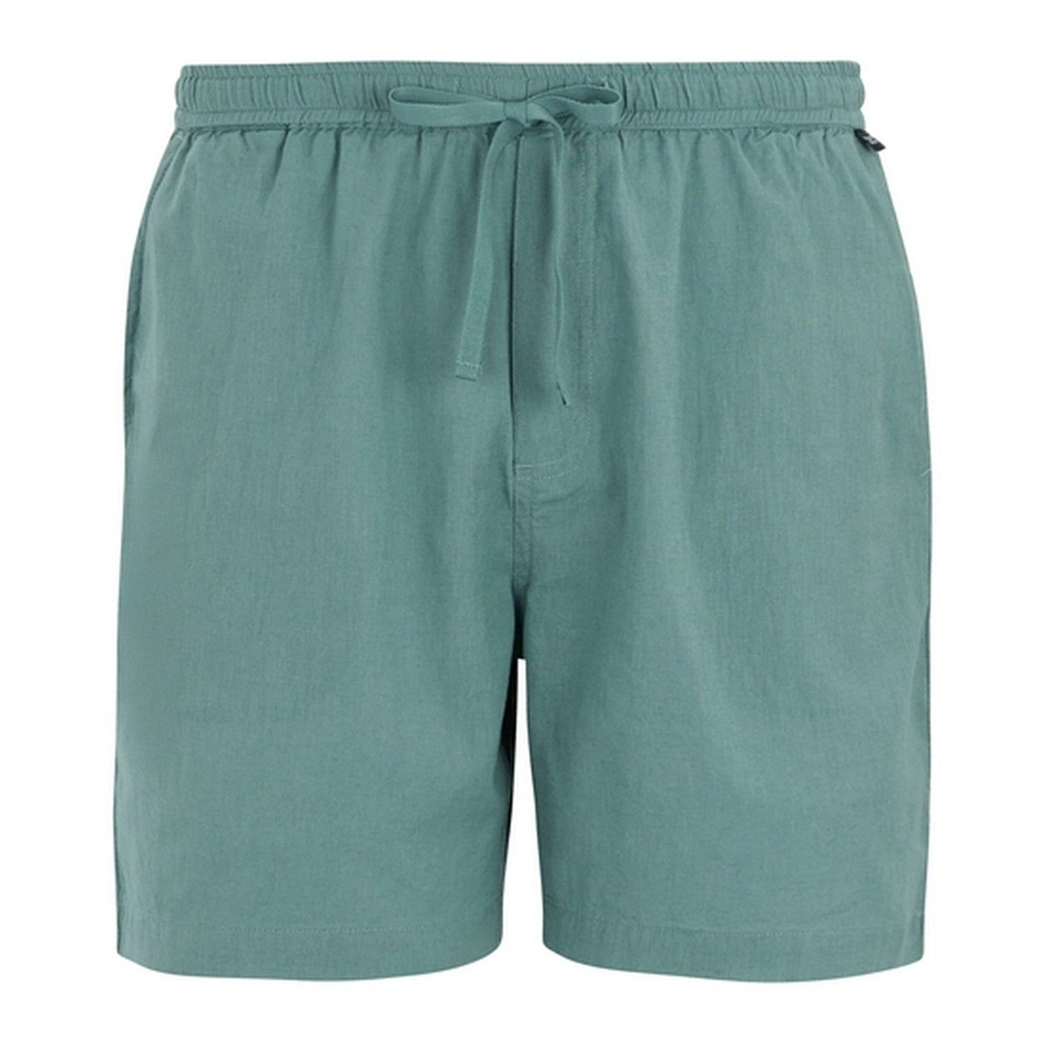 Arctic - Front - Regatta Mens Hadlin Shorts