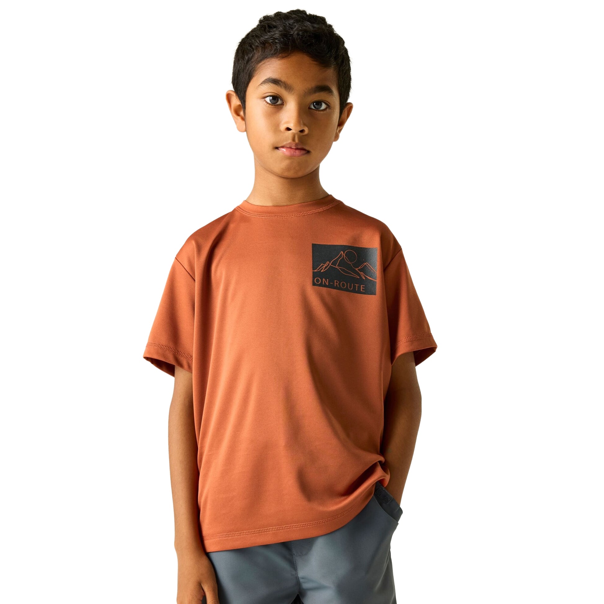 Brick - Lifestyle - Regatta Childrens-Kids Alvarado Back Print T-Shirt