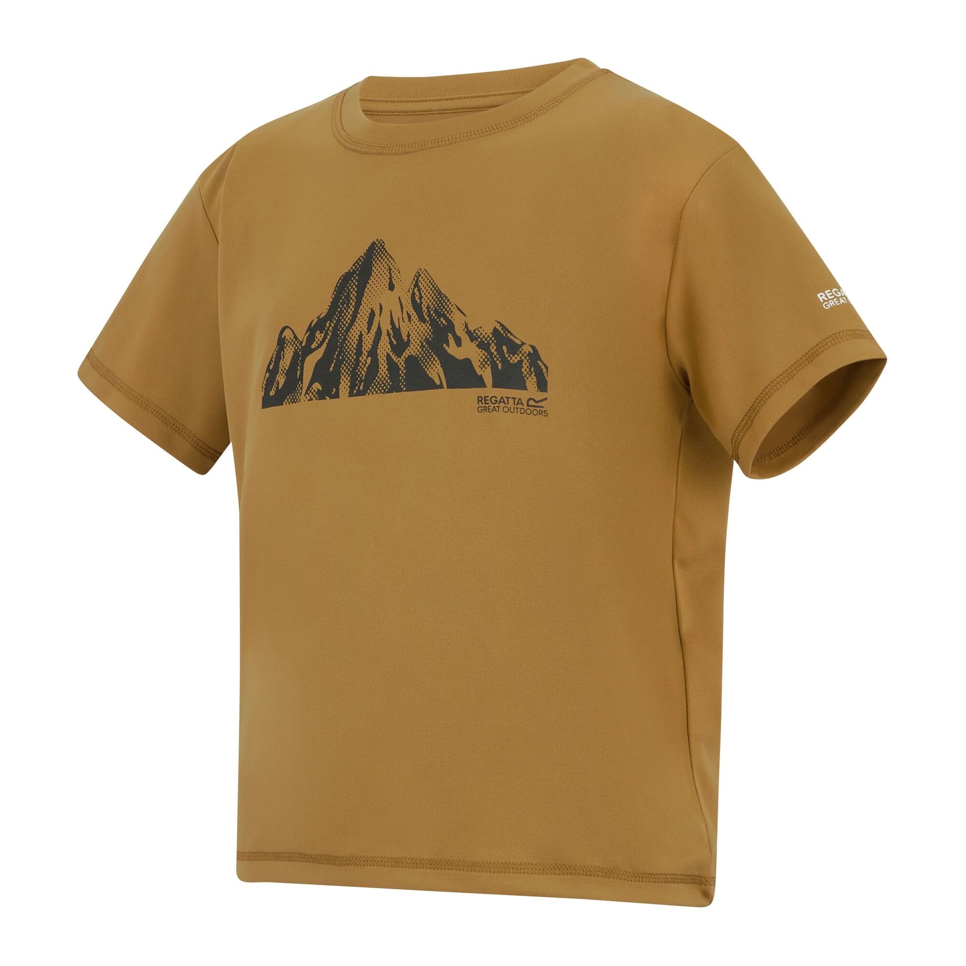 Wood Brown - Side - Regatta Childrens-Kids Alvarado Back Print T-Shirt