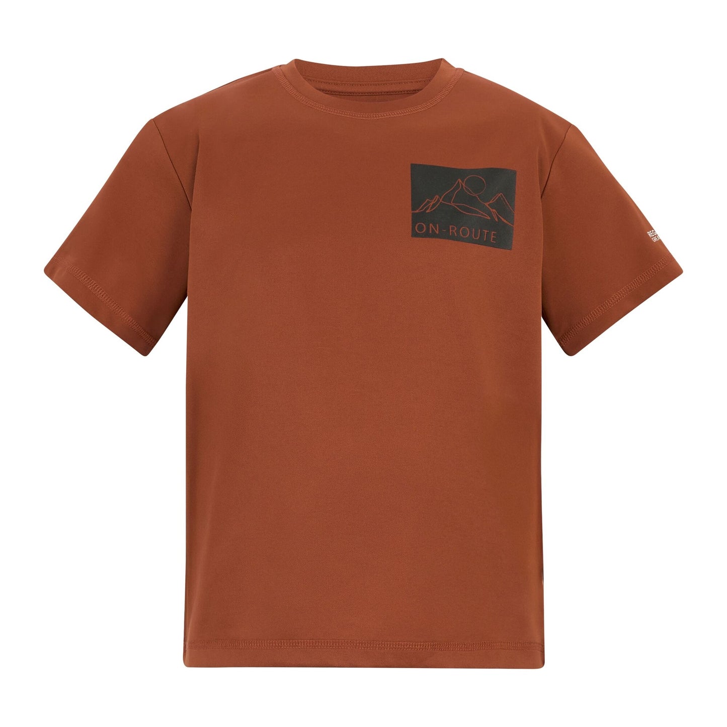 Brick - Front - Regatta Childrens-Kids Alvarado Back Print T-Shirt