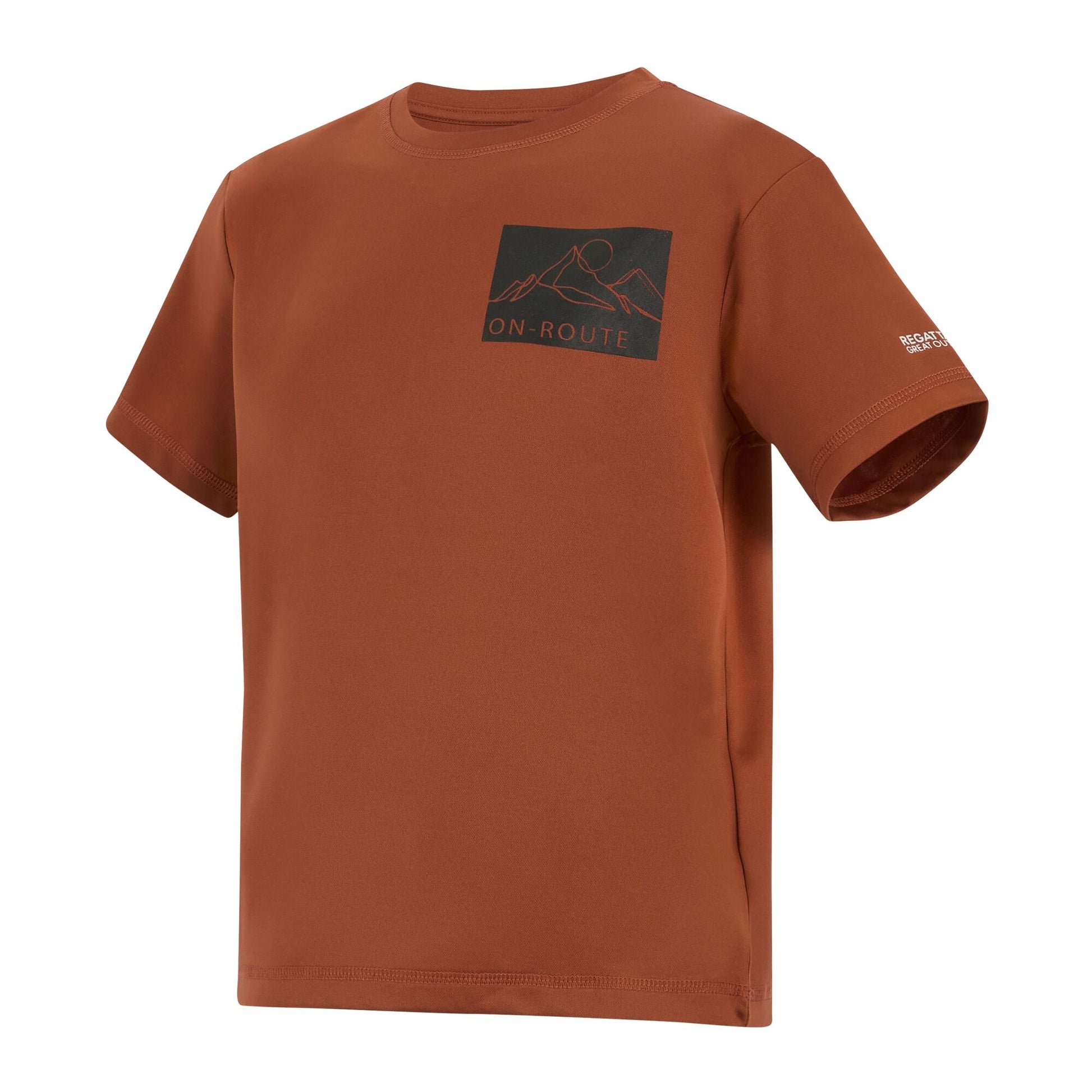 Brick - Side - Regatta Childrens-Kids Alvarado Back Print T-Shirt