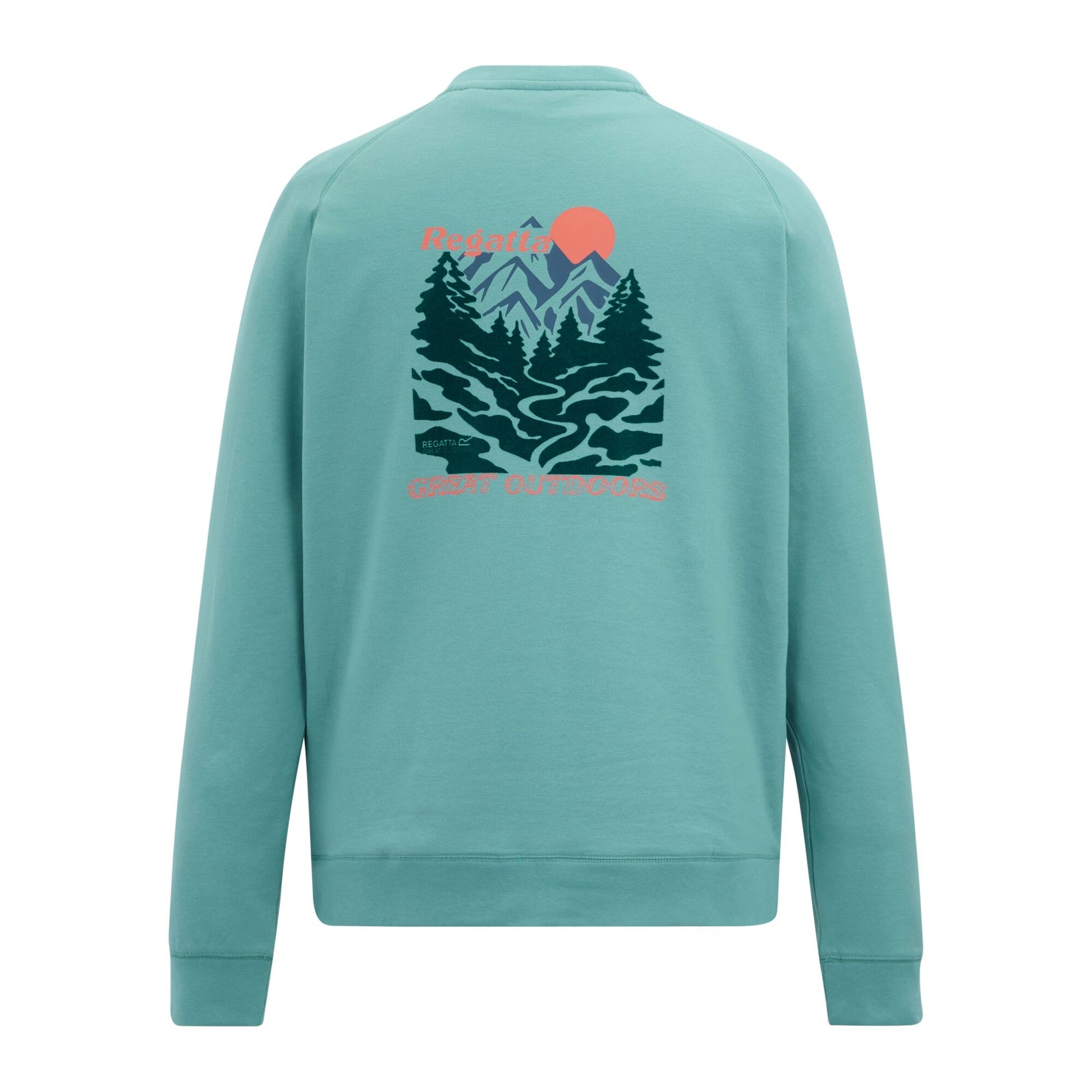 Arctic Green - Back - Regatta Mens Nithsdale Back Print Sweatshirt