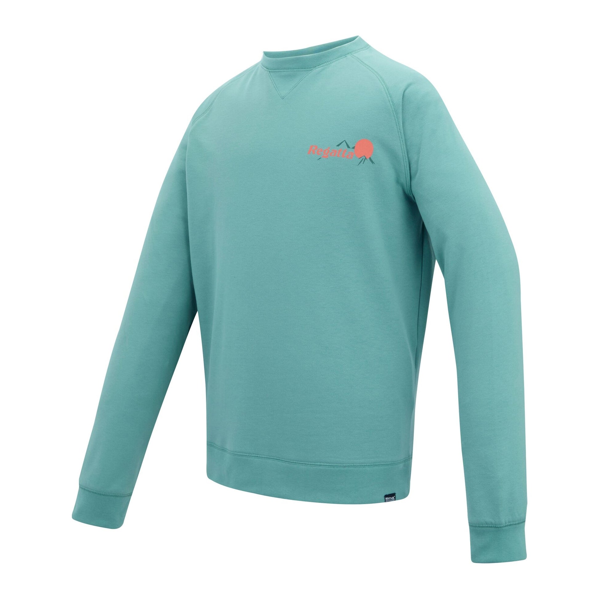 Arctic Green - Side - Regatta Mens Nithsdale Back Print Sweatshirt
