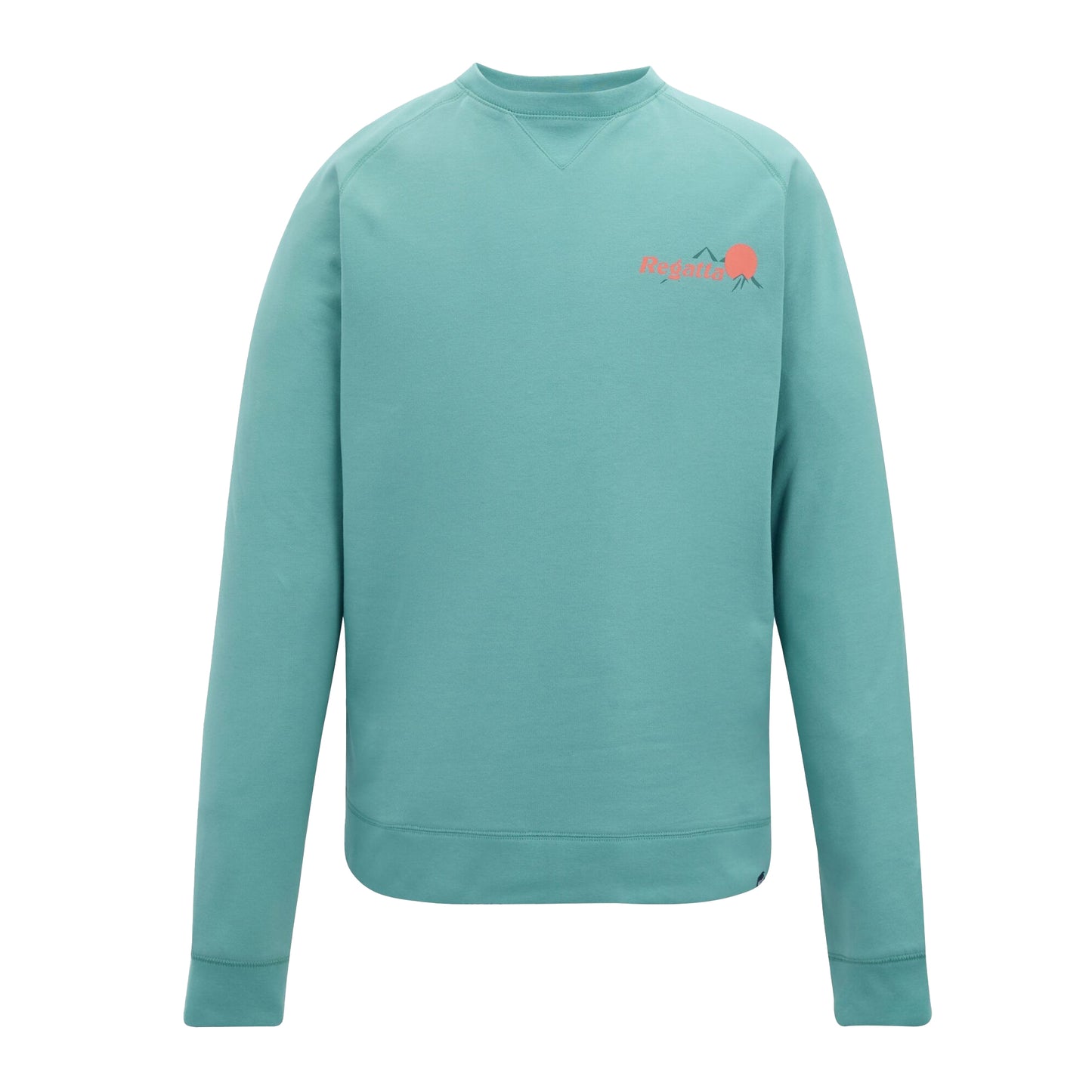 Arctic Green - Front - Regatta Mens Nithsdale Back Print Sweatshirt