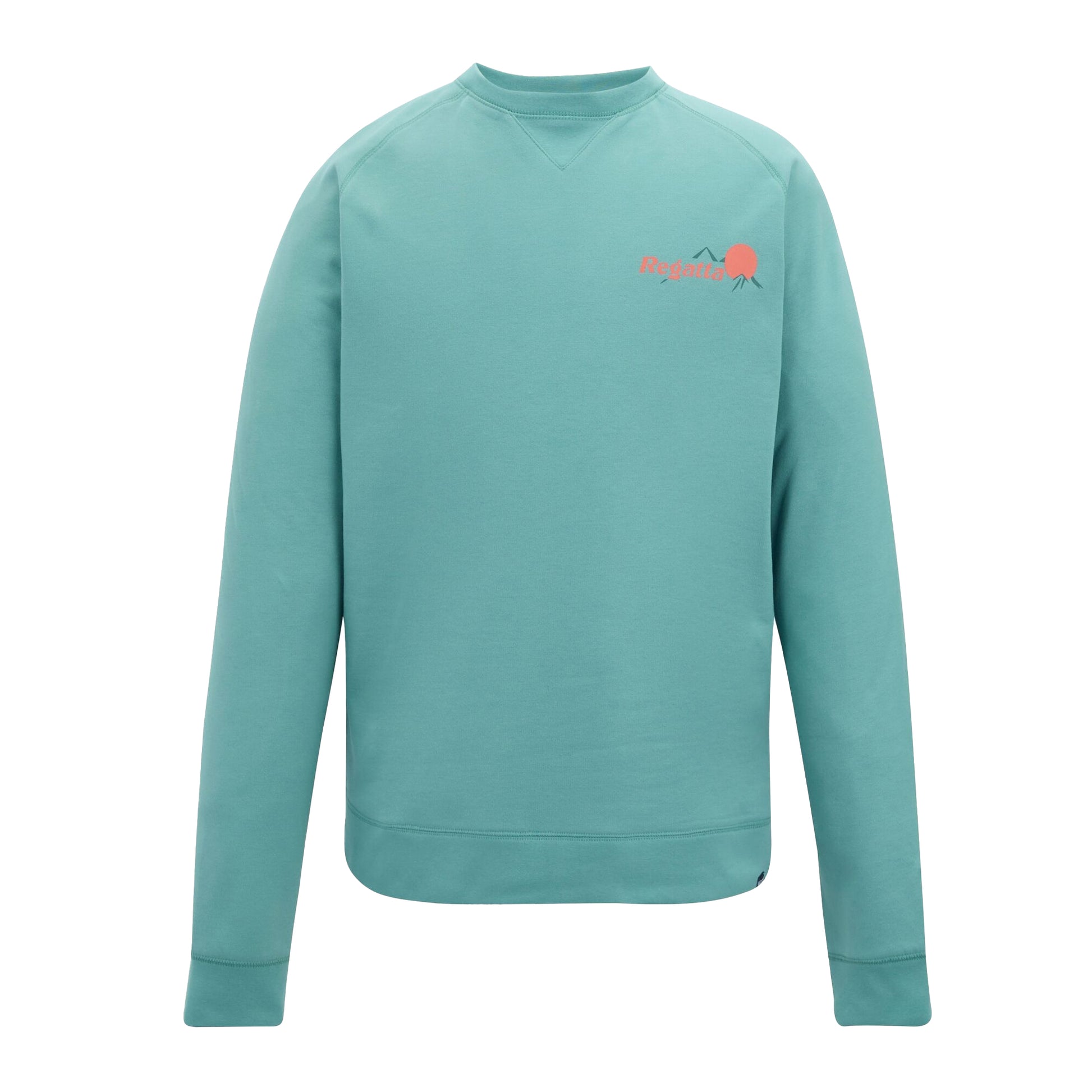 Arctic Green - Front - Regatta Mens Nithsdale Back Print Sweatshirt