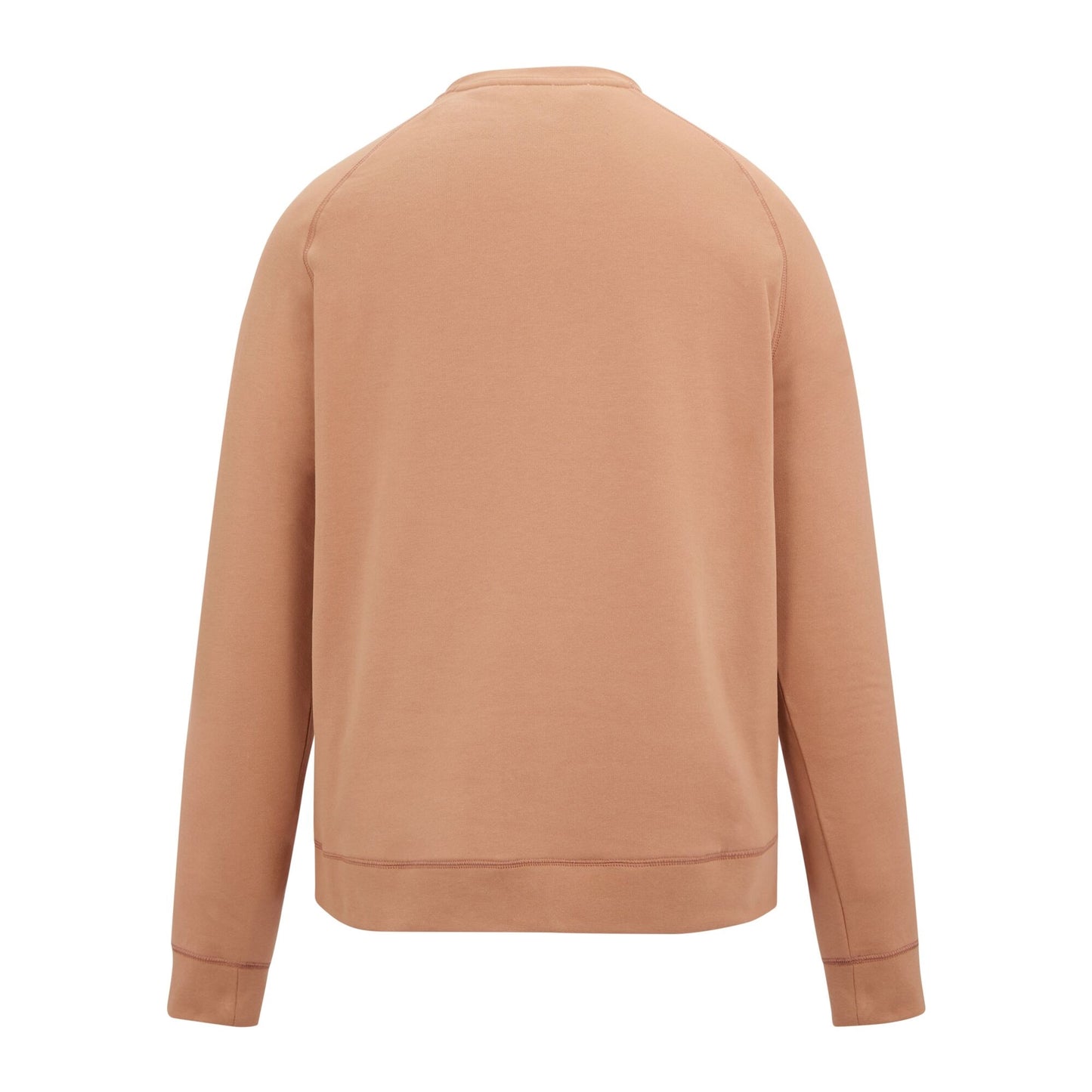 Italian Clay - Back - Regatta Mens Mountain Sweatshirt