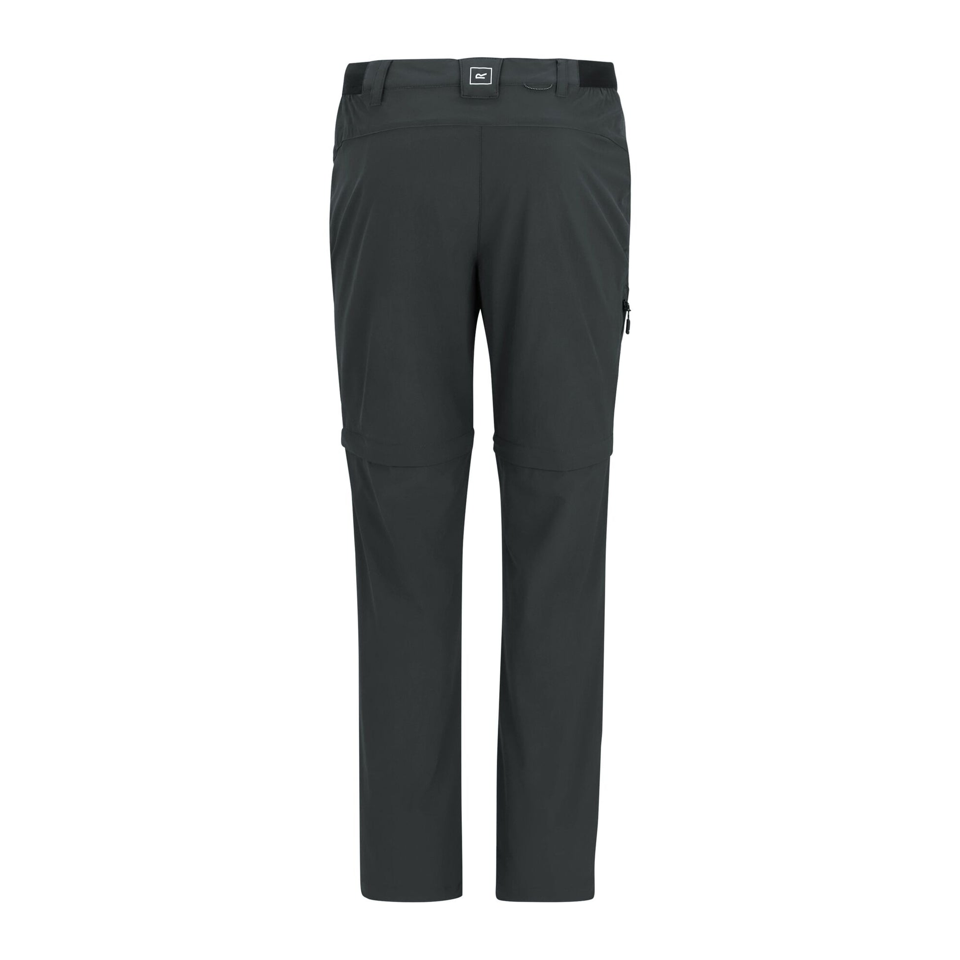 Ash - Back - Regatta Mens Lightweight Insect Repellent Travel Cargo Trousers