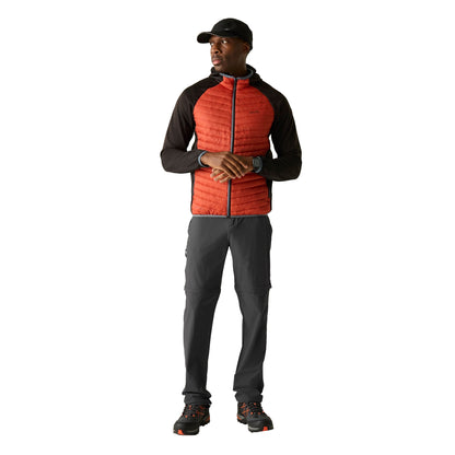 Ash - Pack Shot - Regatta Mens Lightweight Insect Repellent Travel Cargo Trousers