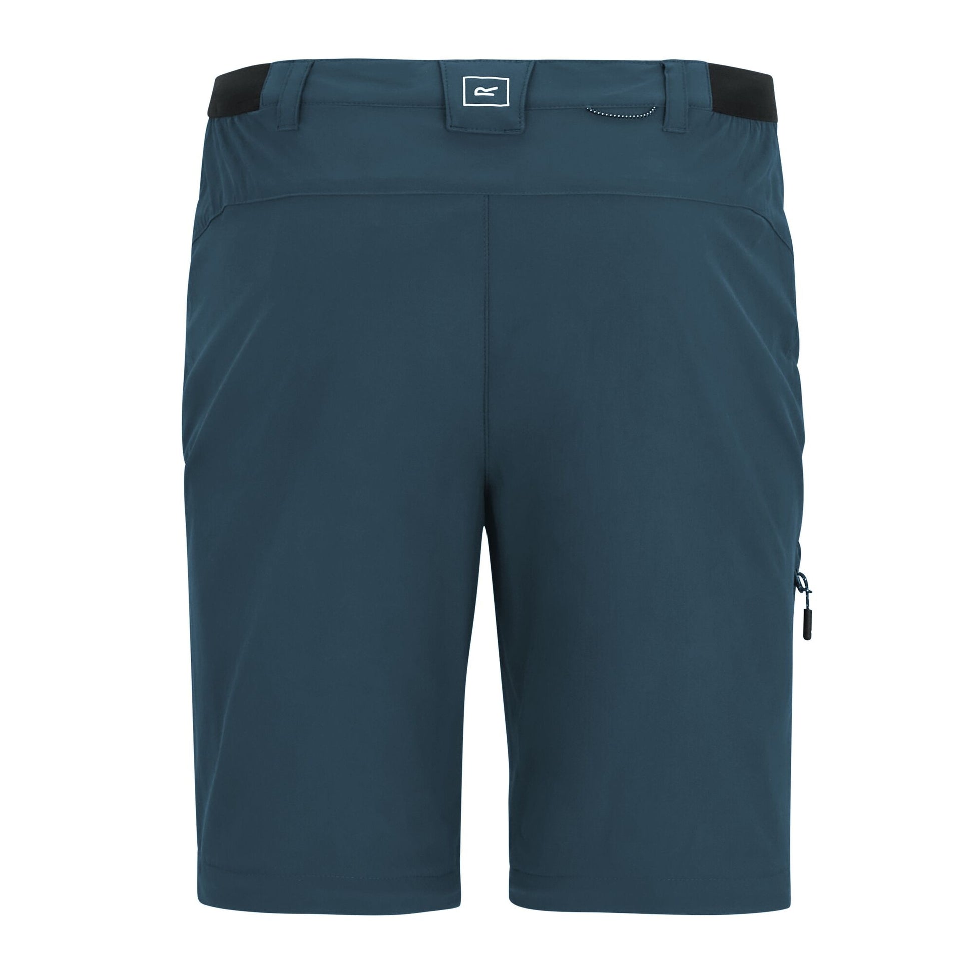 Night Sky - Lifestyle - Regatta Mens Lightweight Insect Repellent Travel Cargo Trousers