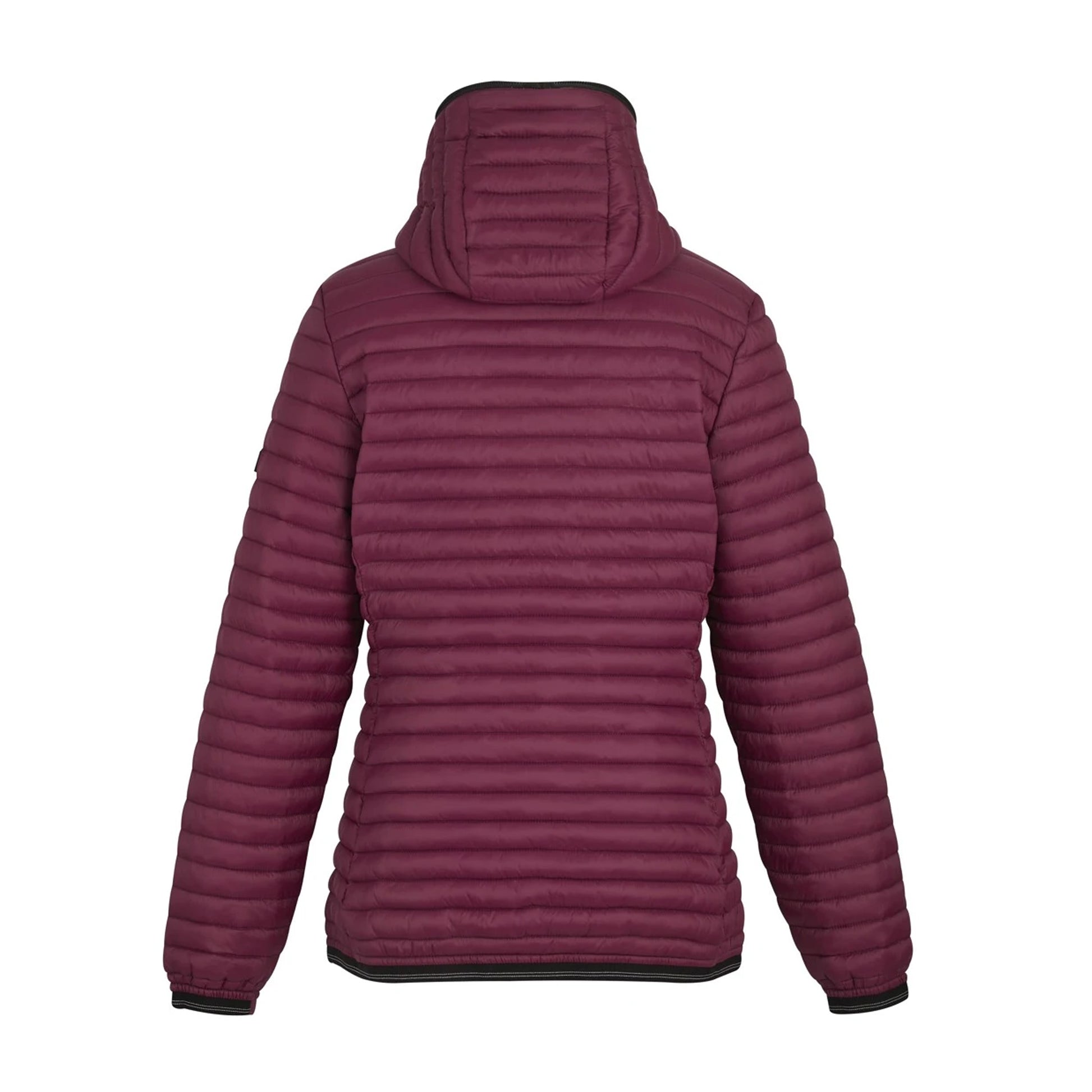 Dark Pimento - Back - Regatta Womens-Ladies Rigain Padded Jacket