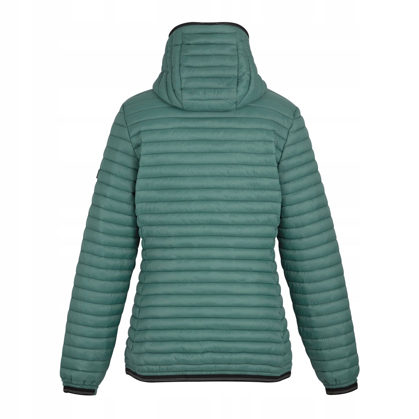 Spruce Green - Back - Regatta Womens-Ladies Rigain Padded Jacket