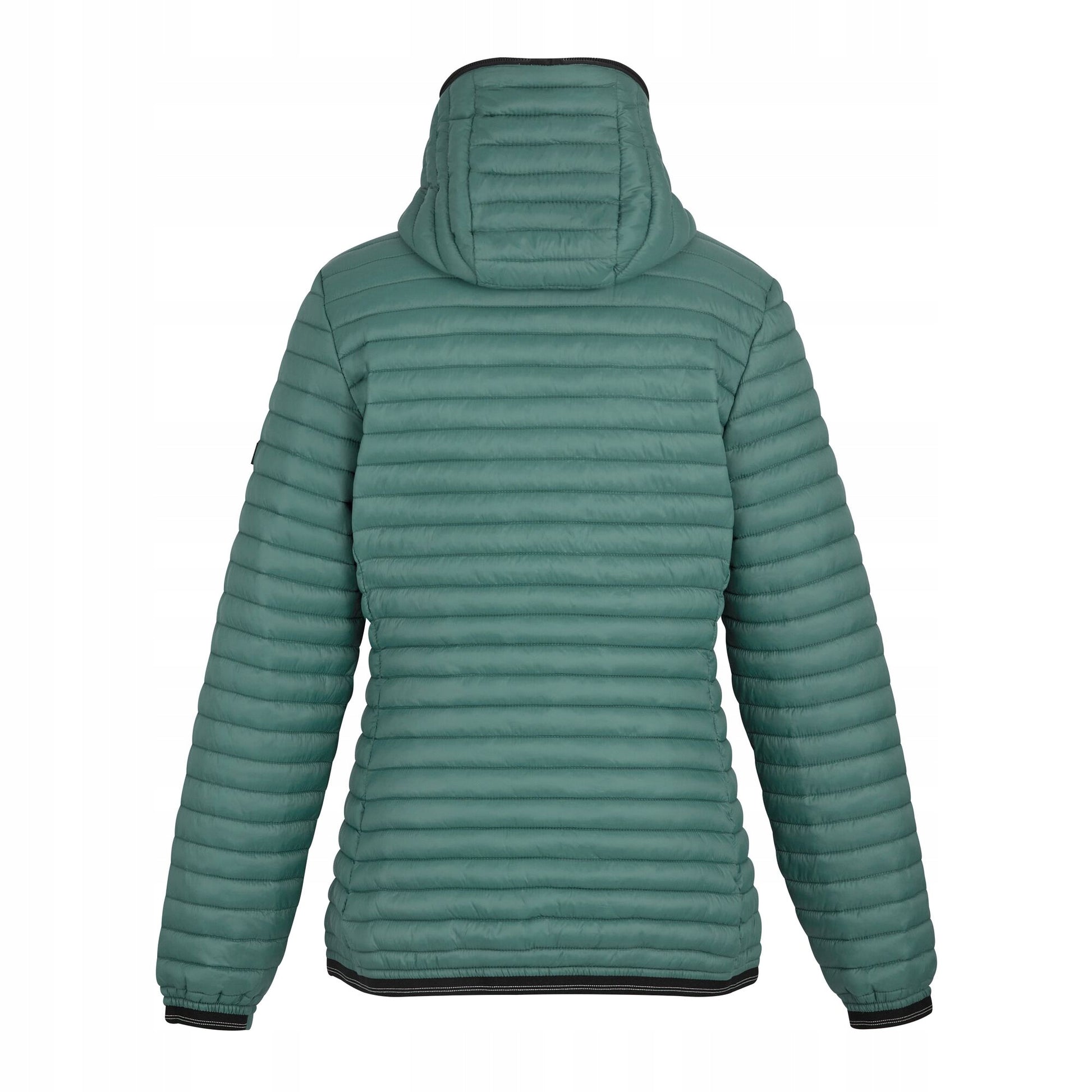 Spruce Green - Back - Regatta Womens-Ladies Rigain Padded Jacket