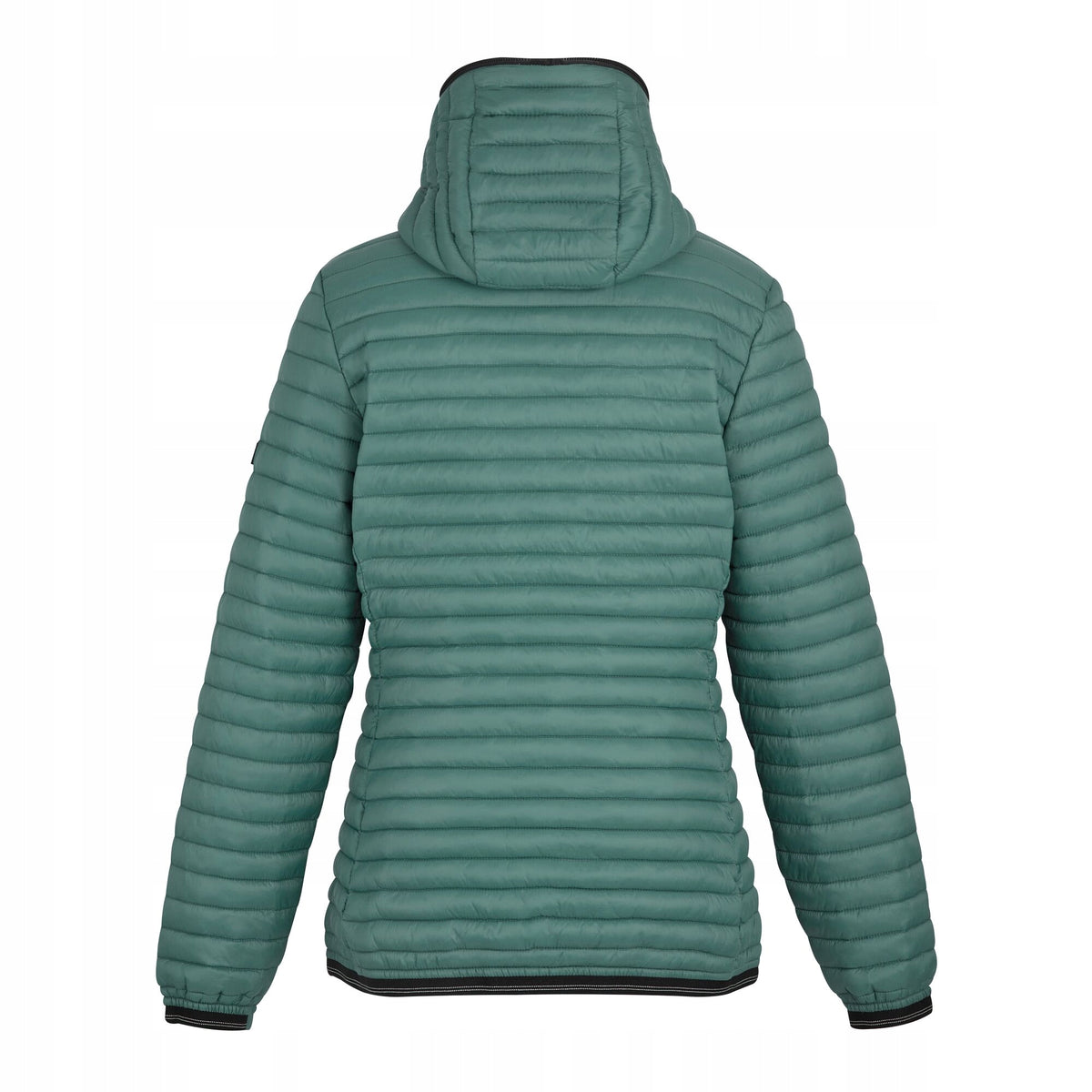 Spruce Green - Back - Regatta Womens-Ladies Rigain Padded Jacket