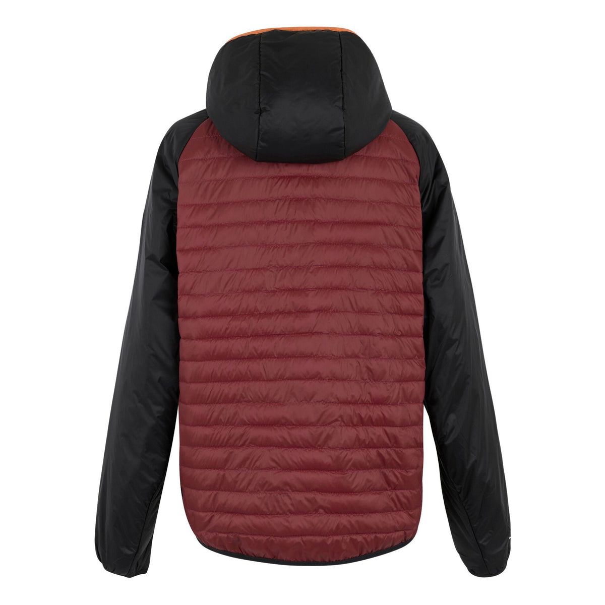 Dark Maroon-Black - Back - Regatta Mens Rowak Padded Jacket