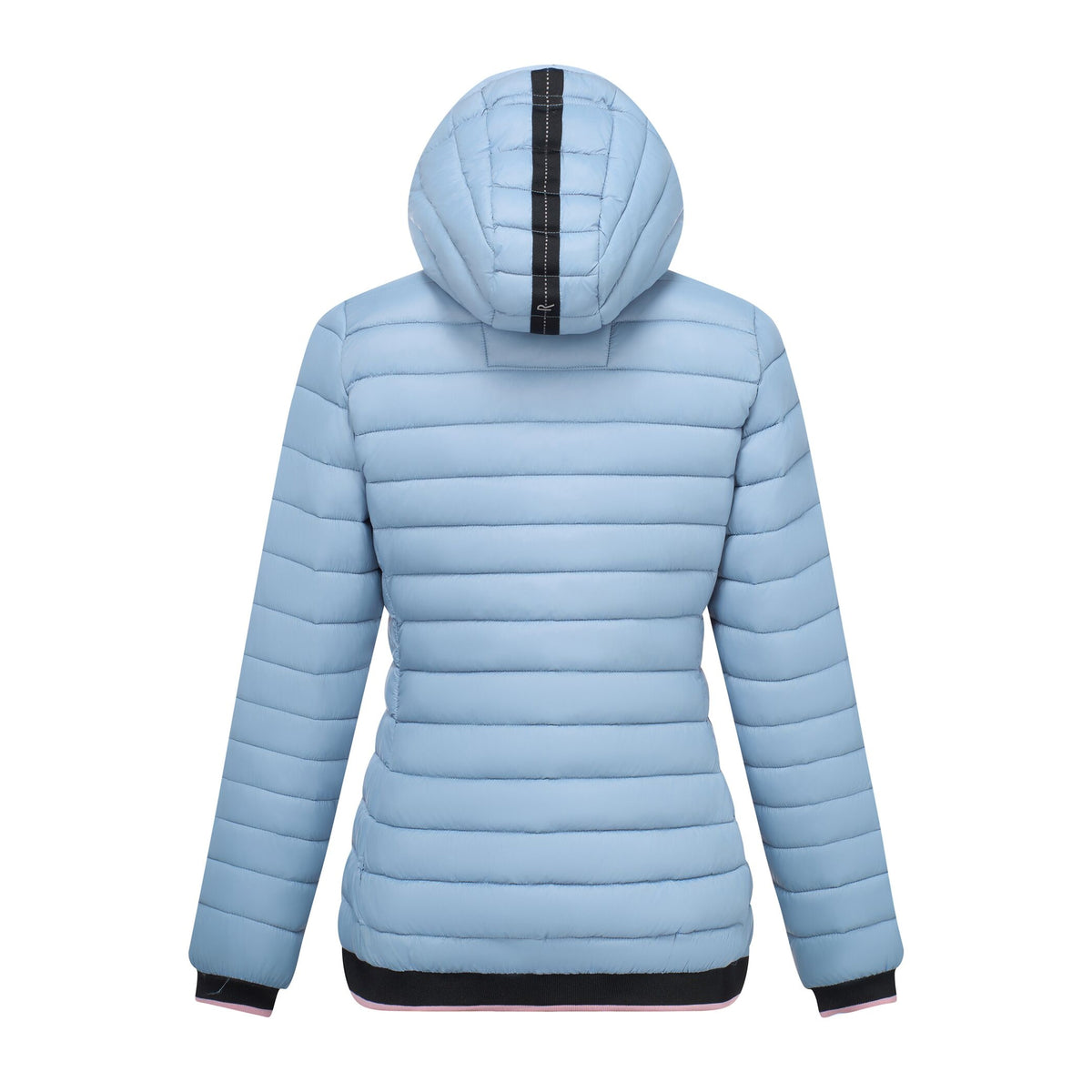 Dusky Blue - Back - Regatta Womens-Ladies Haile Padded Jacket