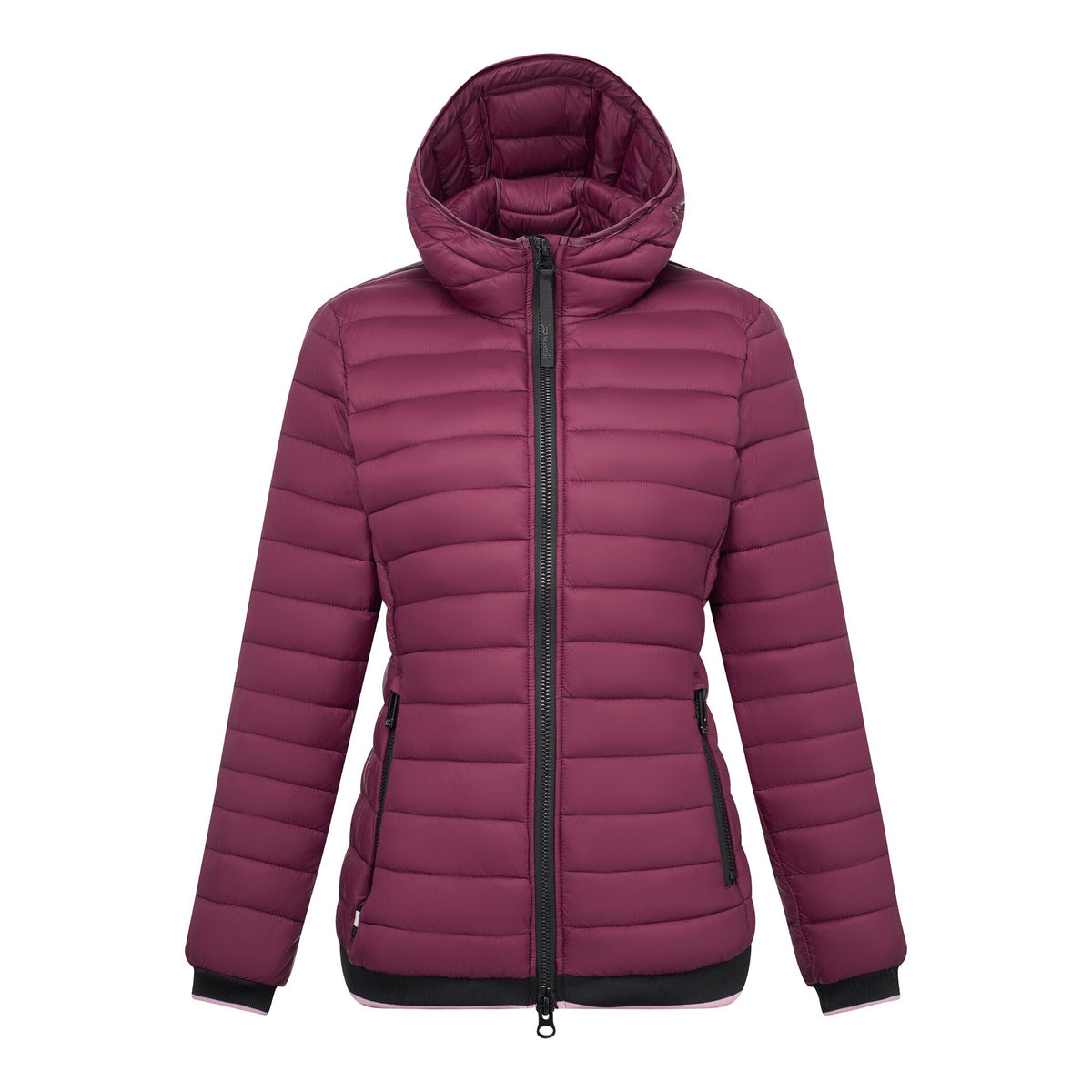 Fig - Front - Regatta Womens-Ladies Haile Padded Jacket