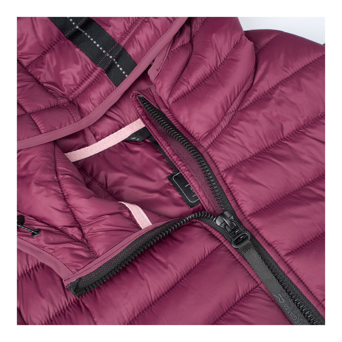 Fig - Pack Shot - Regatta Womens-Ladies Haile Padded Jacket