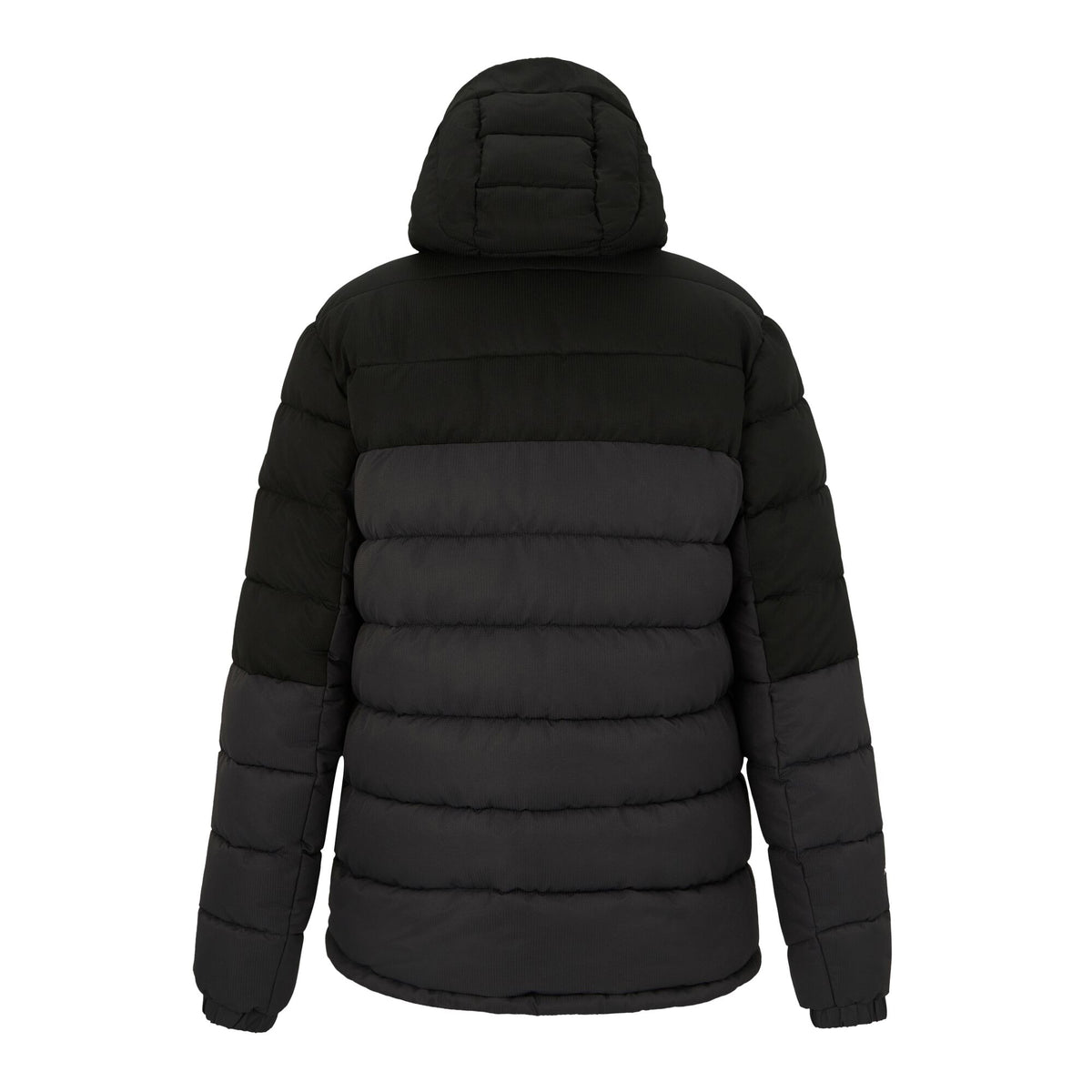 Black - Back - Regatta Mens Aldthorn Padded Jacket