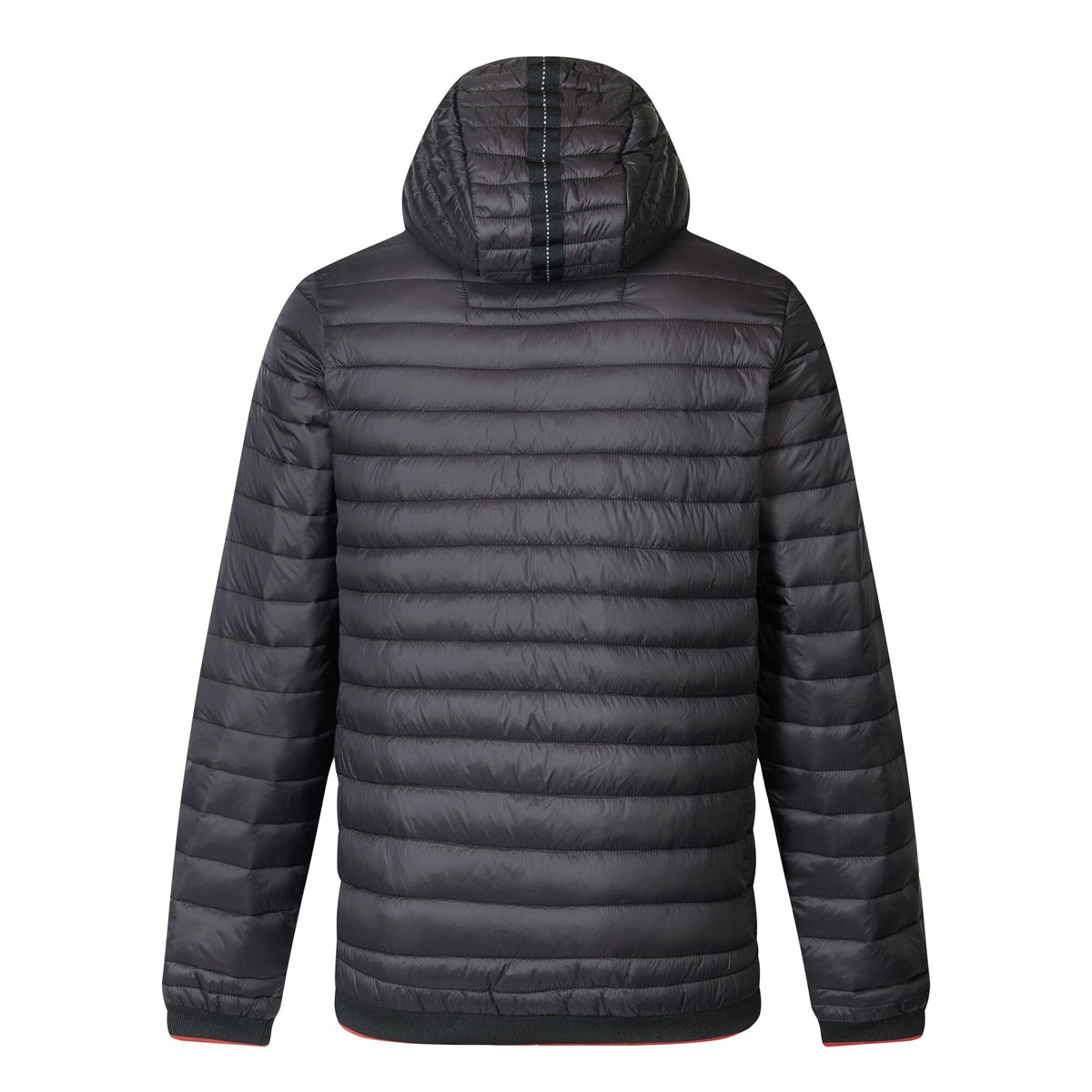 Black - Back - Regatta Mens Haile Padded Jacket