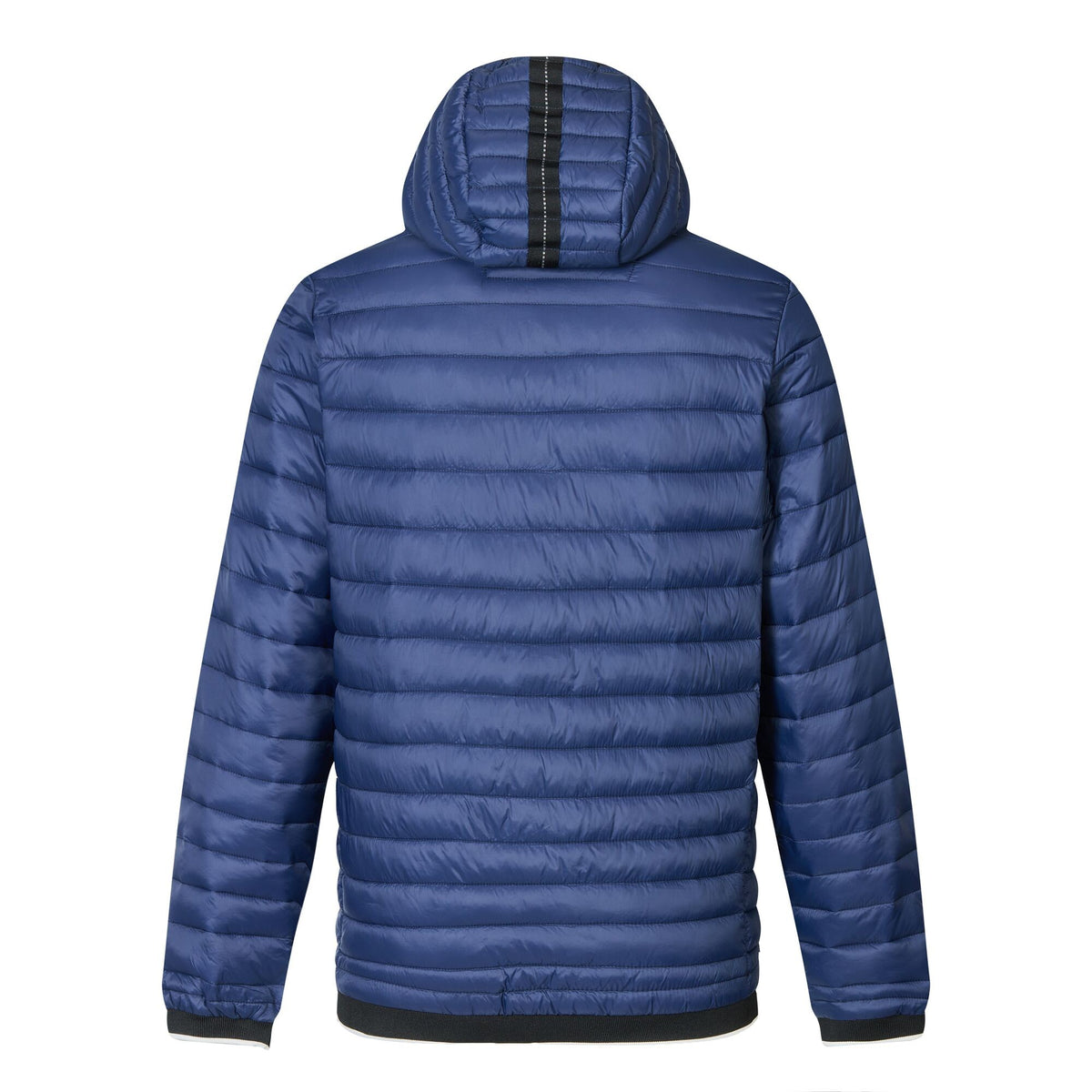 Navy - Back - Regatta Mens Haile Padded Jacket