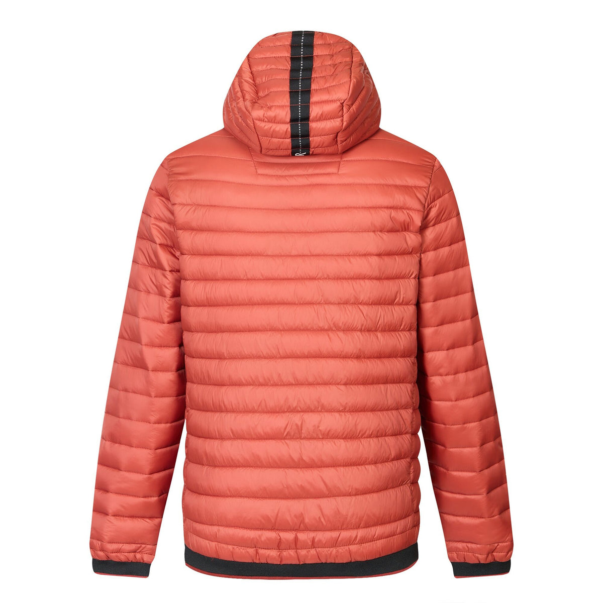 Burnt Henna - Back - Regatta Mens Haile Padded Jacket