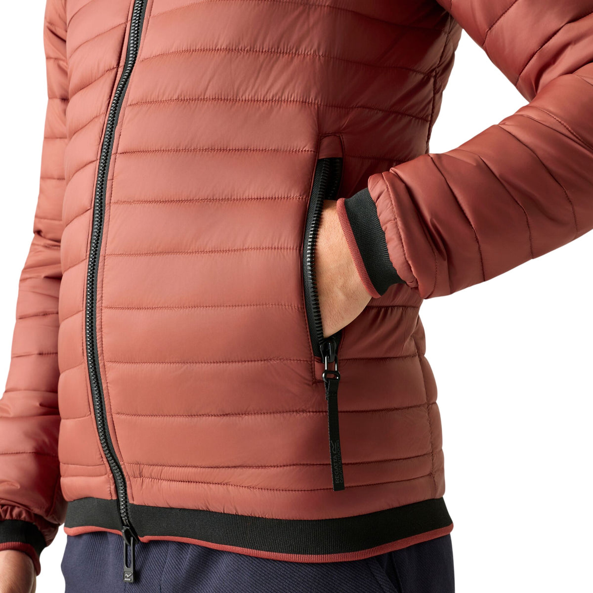 Burnt Henna - Pack Shot - Regatta Mens Haile Padded Jacket
