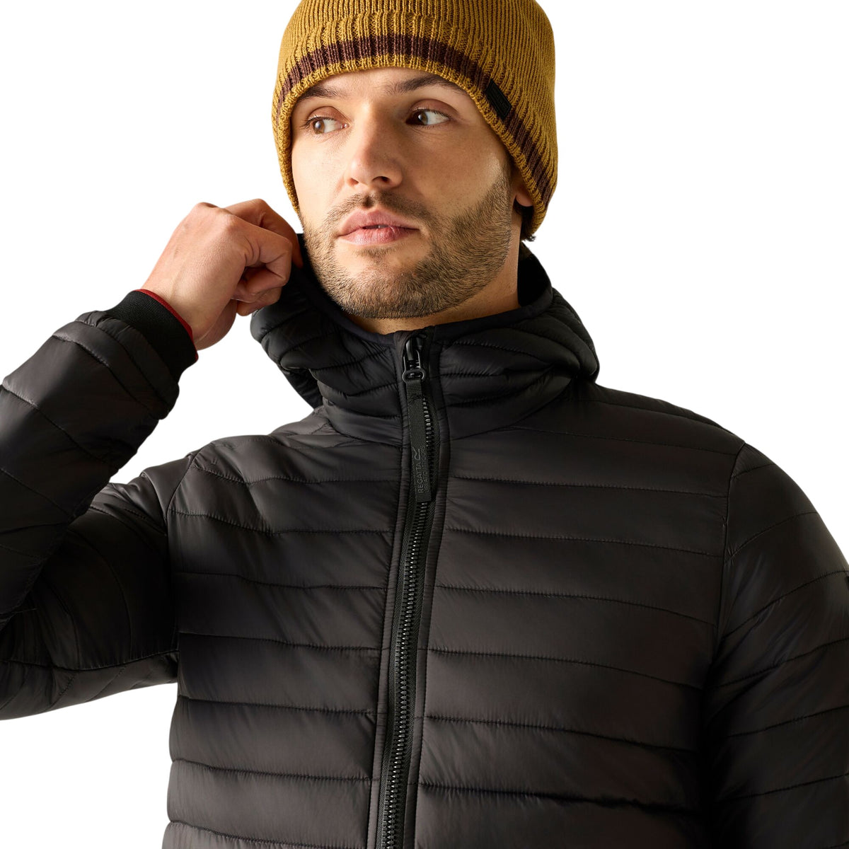 Black - Lifestyle - Regatta Mens Haile Padded Jacket
