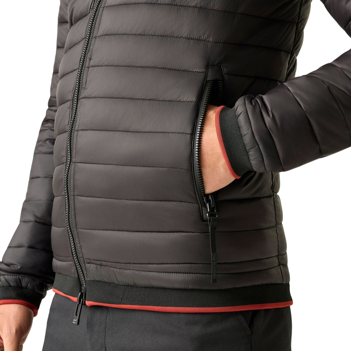 Black - Pack Shot - Regatta Mens Haile Padded Jacket
