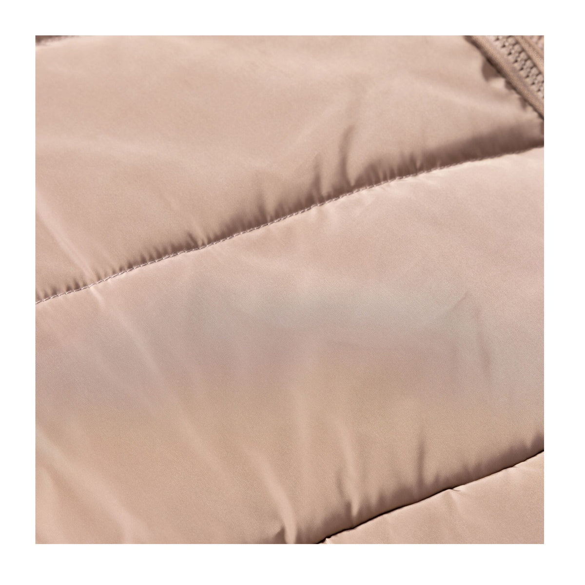 Mocha - Pack Shot - Regatta Womens-Ladies Amelle Padded Jacket