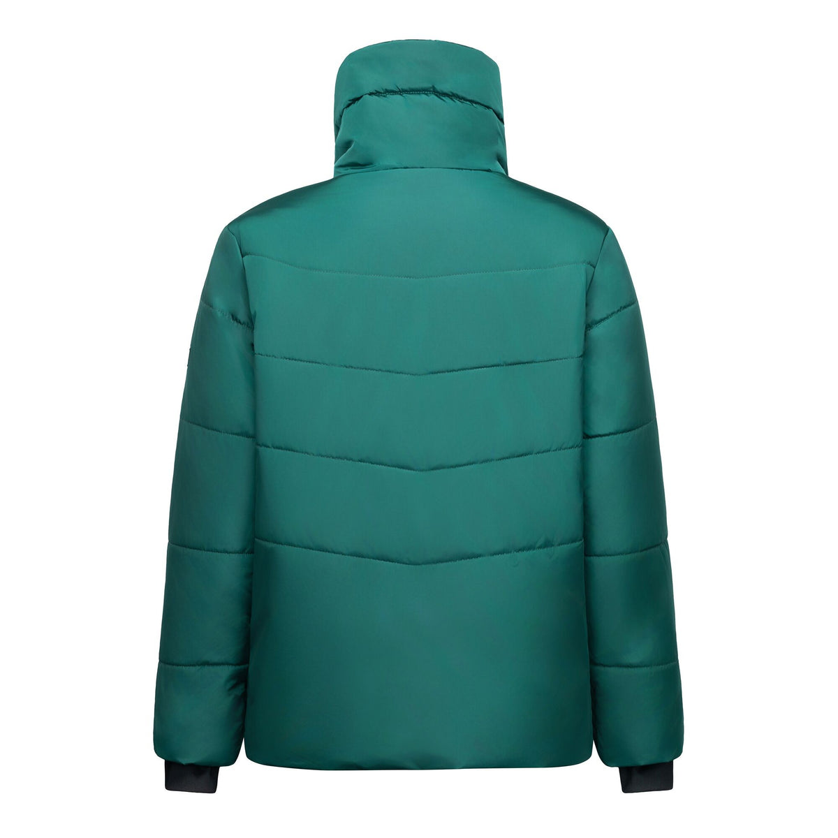 Deep Pine - Back - Regatta Womens-Ladies Amelle Padded Jacket