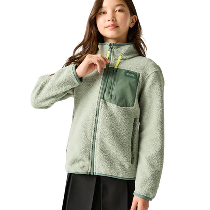 Glacier Green-Dark Forest Green - Pack Shot - Regatta Childrens-Kids Frankie Colour Block Fleece Jacket