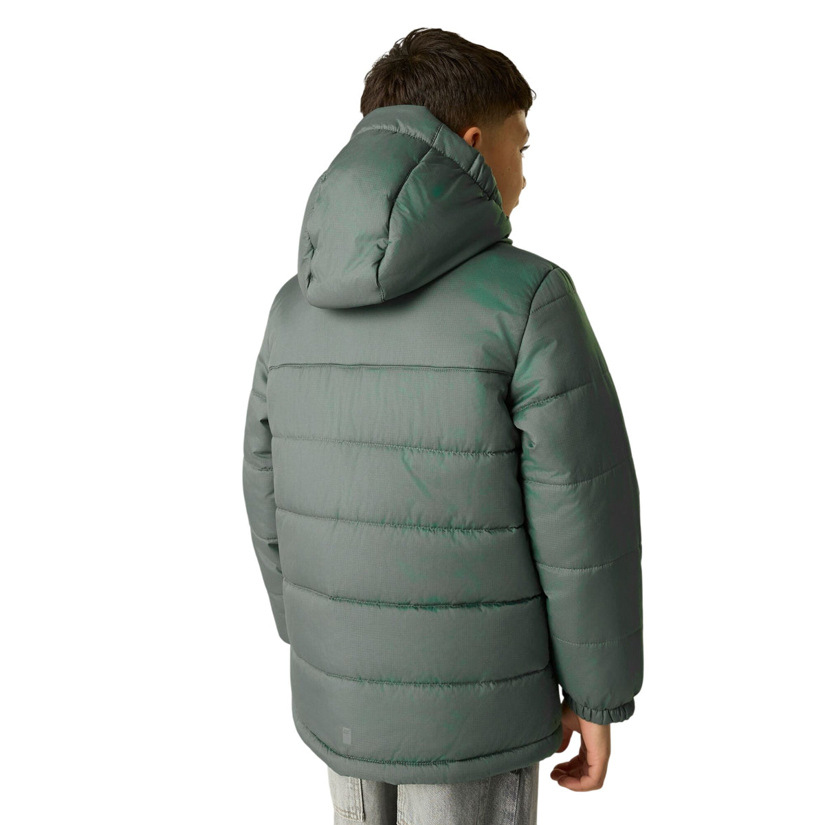 Dark Forest Green-Wild Lime - Back - Regatta Childrens-Kids Lofthouse Plain Padded Jacket