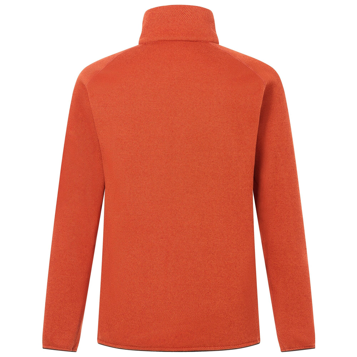 Rooibos Tea-Black - Back - Regatta Mens Rike Full Zip Fleece Jacket