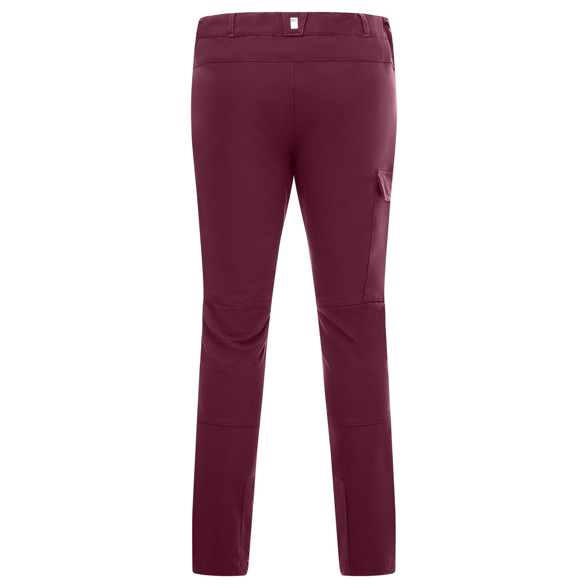 Fig - Back - Regatta Childrens-Kids Tech Mountain Trousers