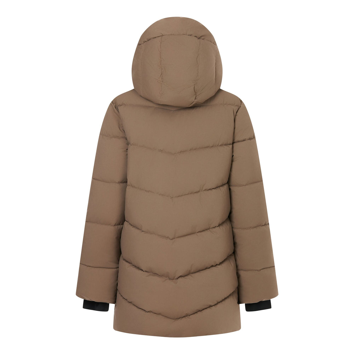 Mocha - Back - Regatta Womens-Ladies Faye Padded Jacket