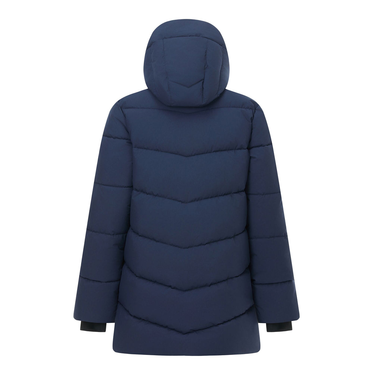 Navy - Back - Regatta Womens-Ladies Faye Padded Jacket